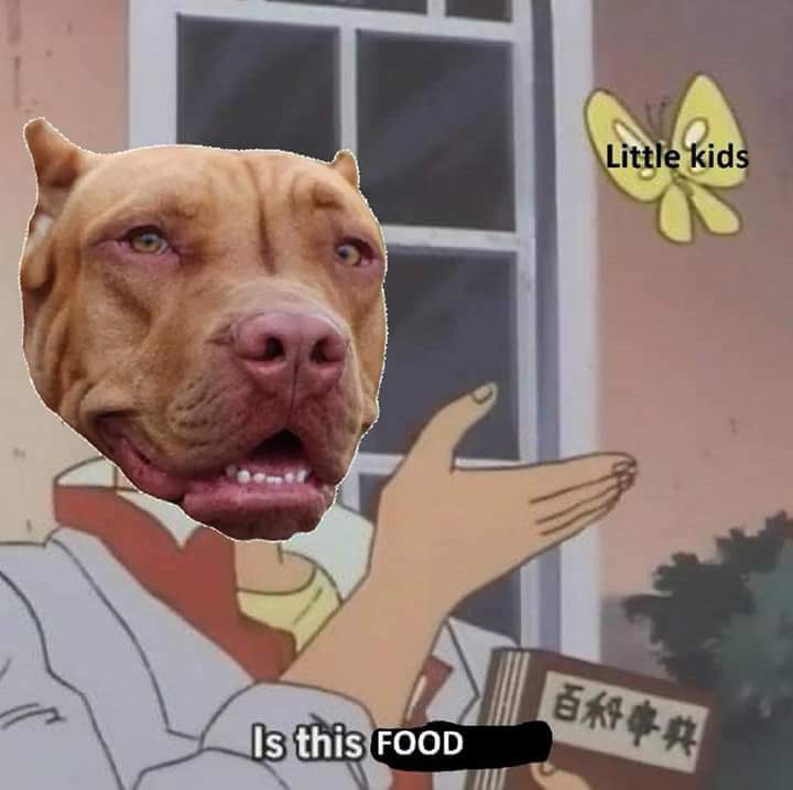 Pitbull memes seem to be rising in popularity lately, definitely a