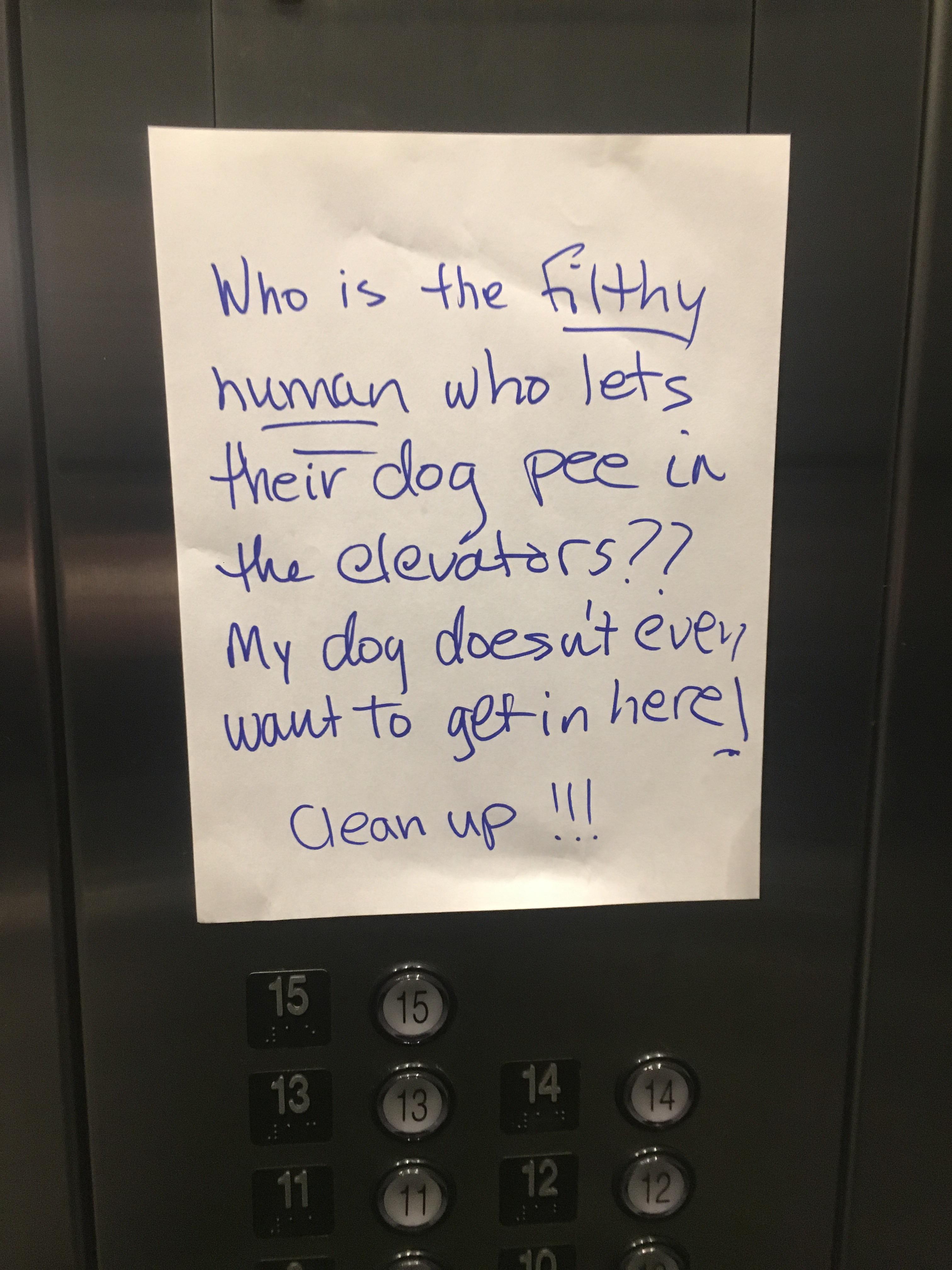 Letting your dog pee in the elevators r/trashy