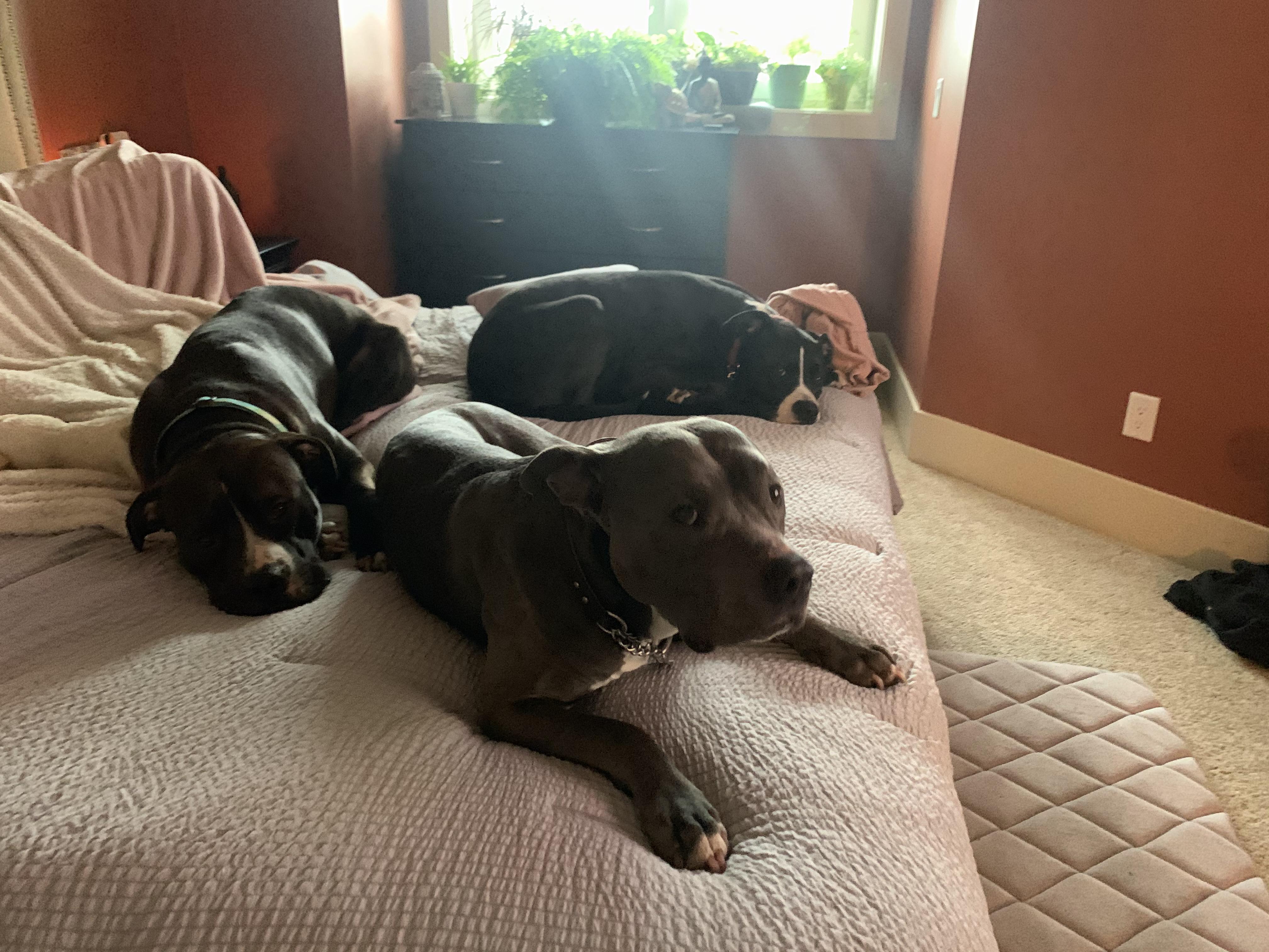 If you look at the end of the bed on the floor, you can see where these