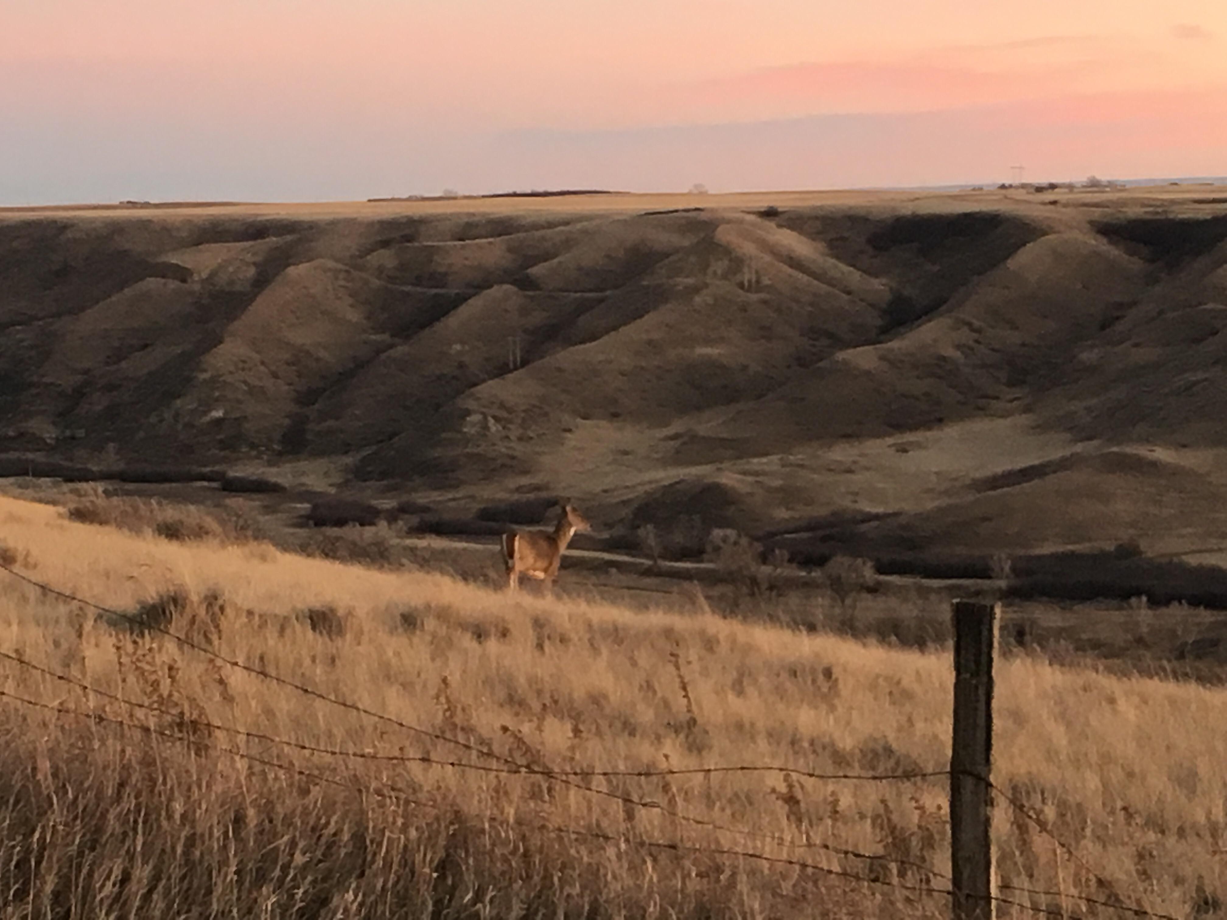 And they say the prairies are dull... r/canada