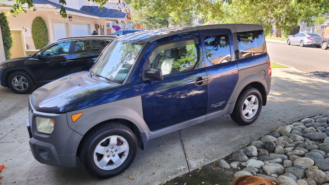 Just picked up a 2003 EX manual with 209,000 miles. Anything I should