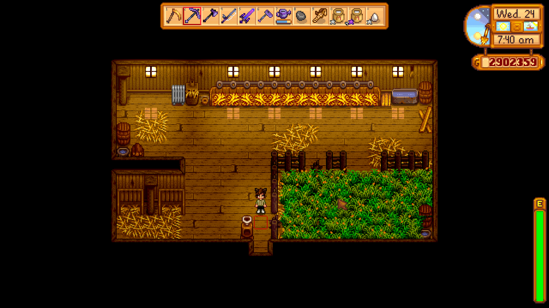 Can animals eat grass inside? I put these little corners of grass