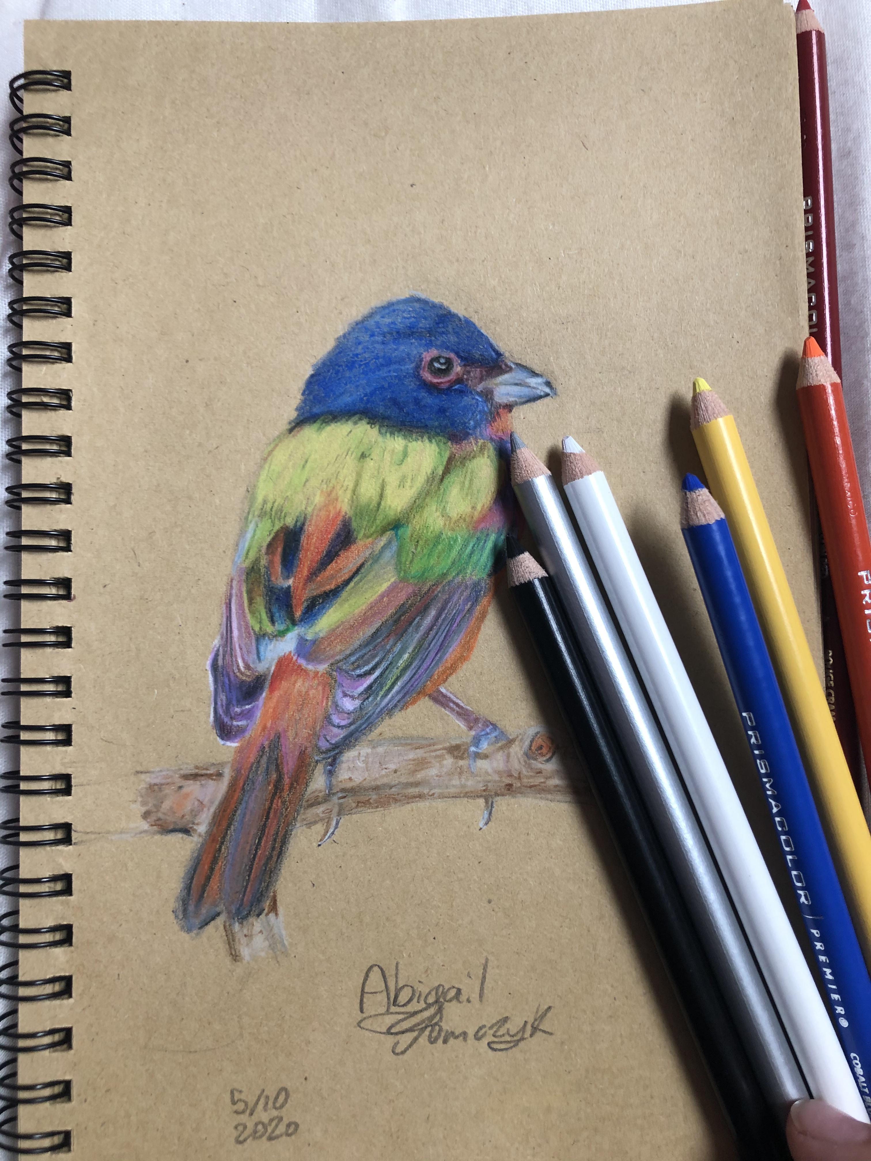 Hello, I’m a young artist that wants to inspire others! I want to say that practice really does