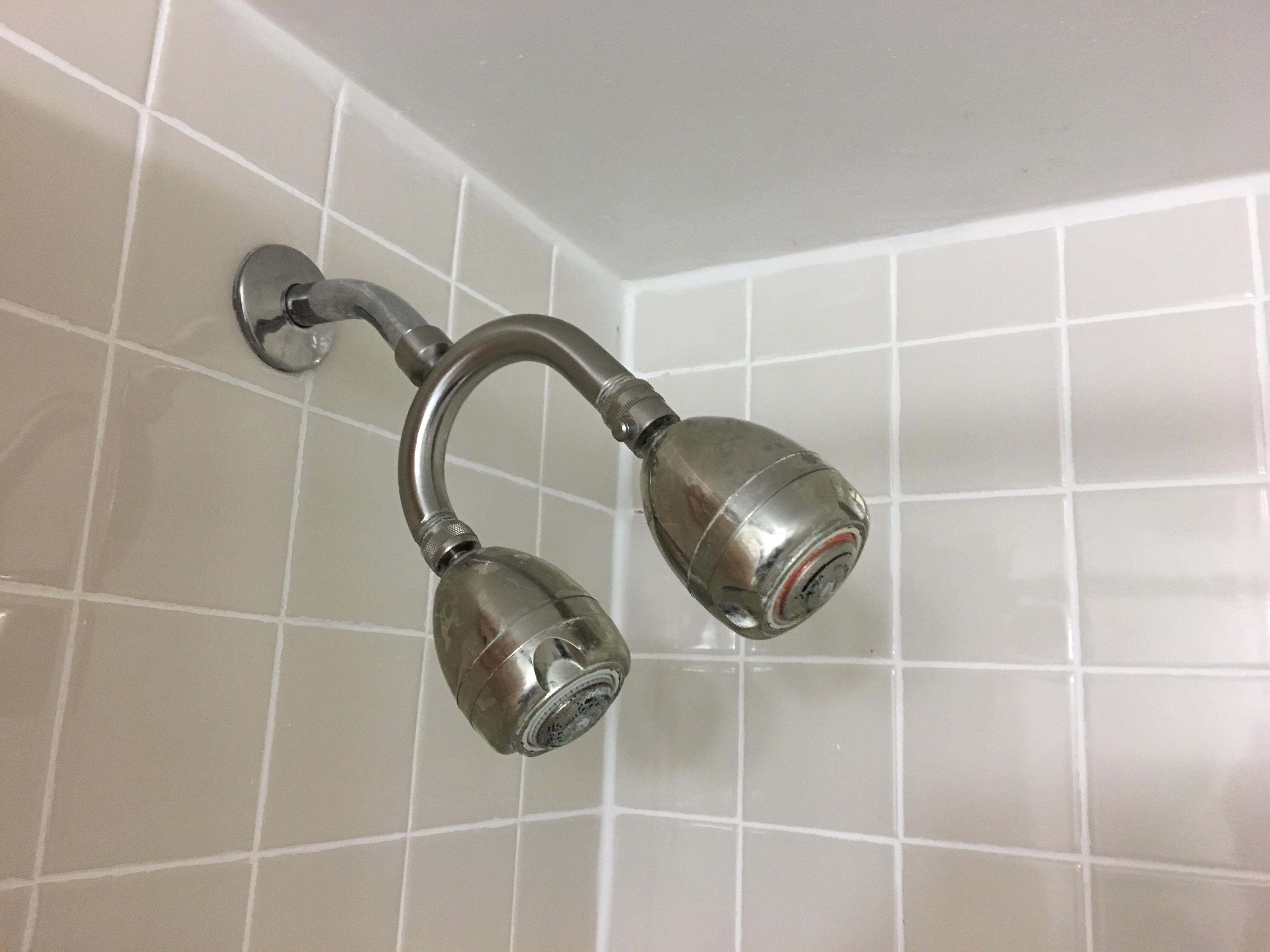 This shower has 2 heads. r/mildlyinteresting