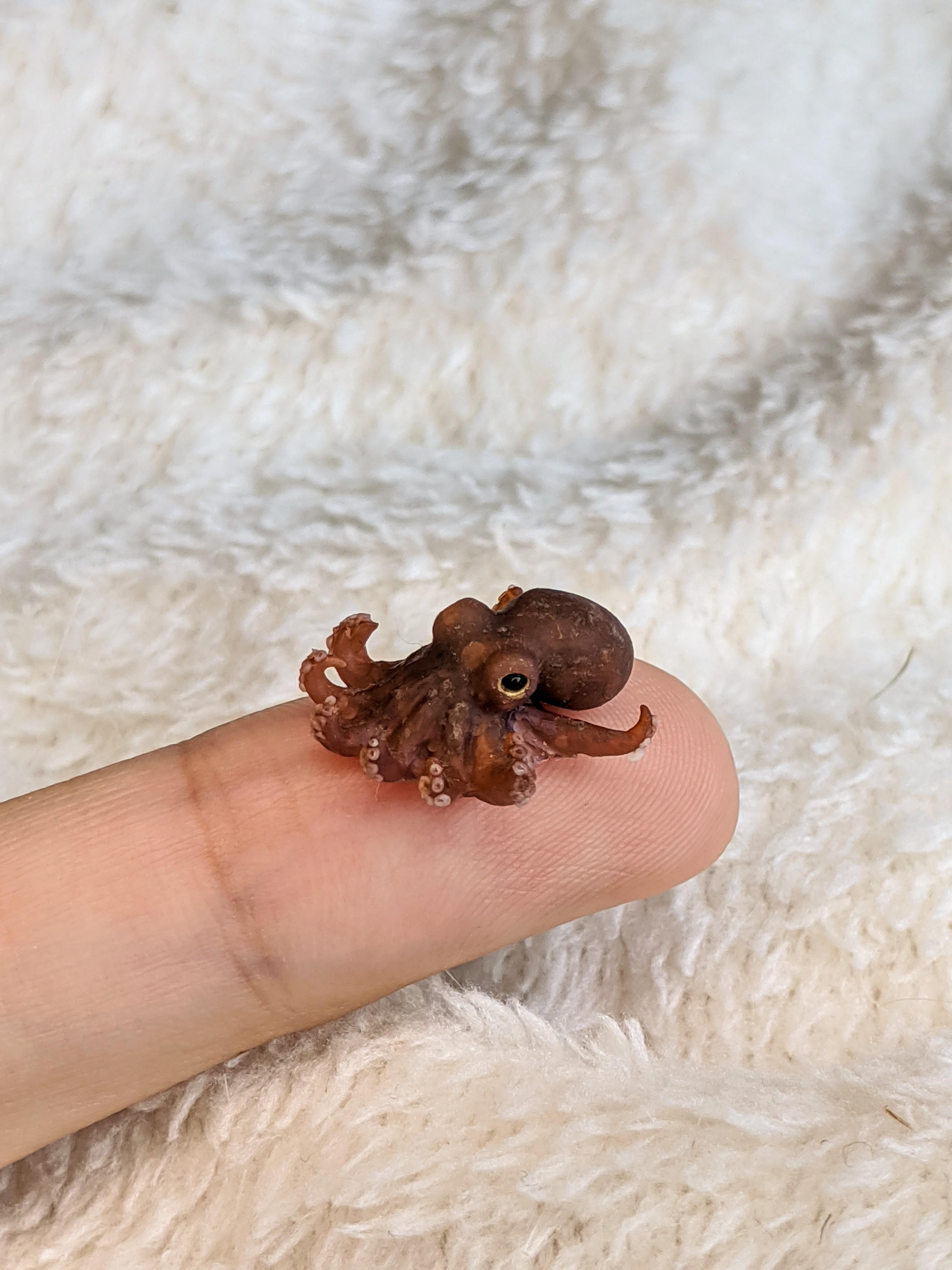 Mini octopus 🐙 r/polymerclay