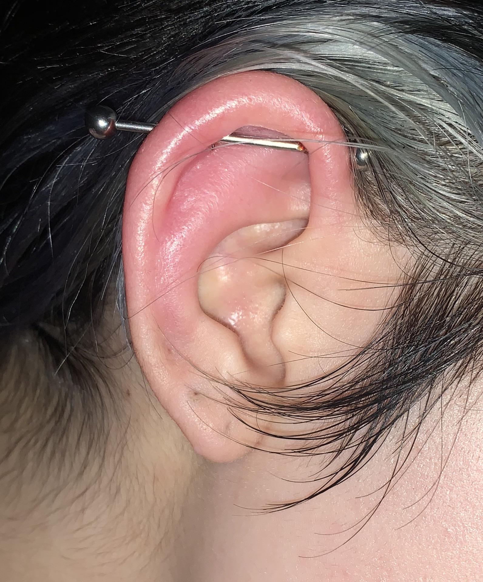 my industrial piercing is swollen and hurts. I got it done about three