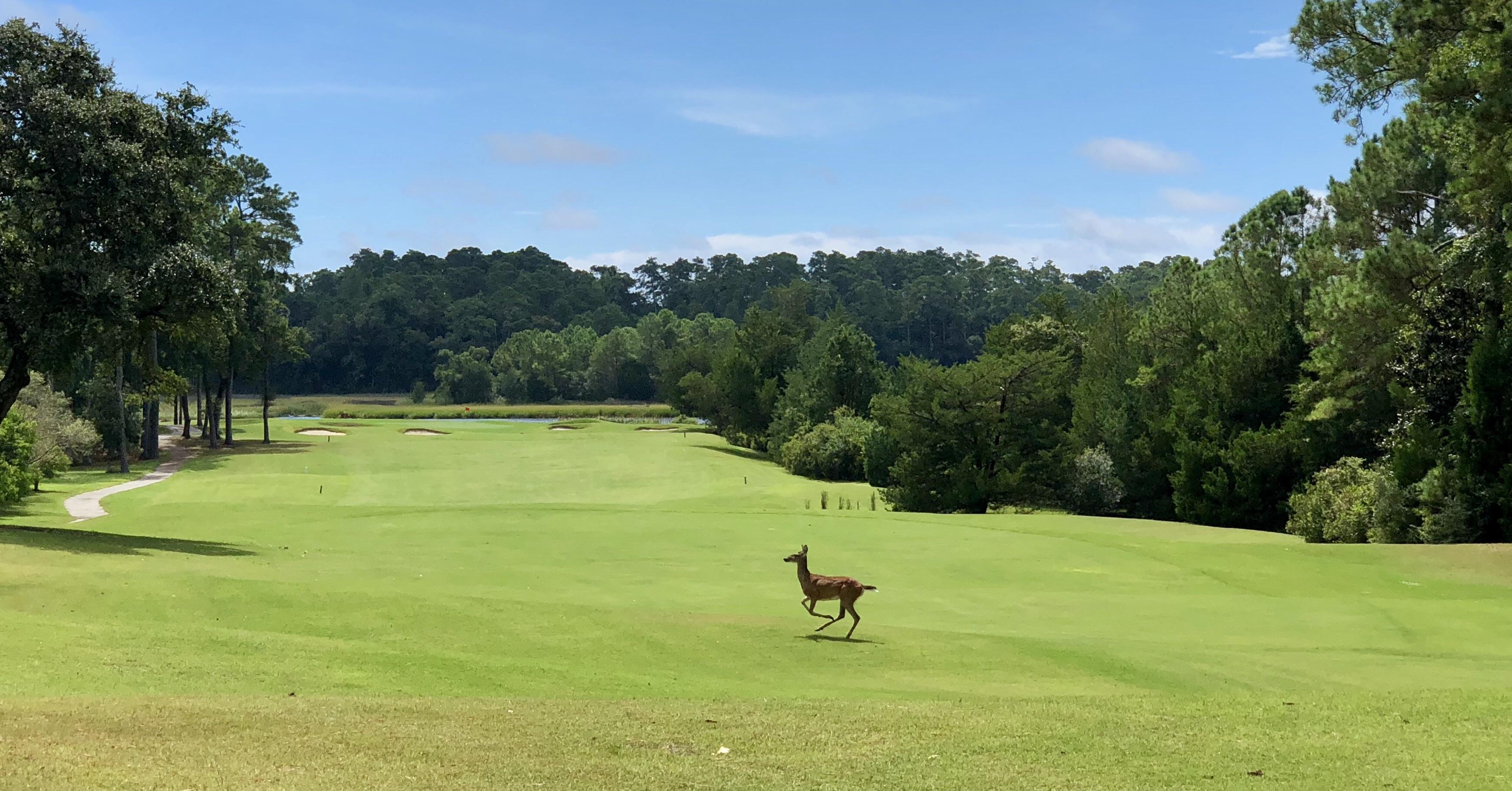 Hole 8 Glen Dornoch, Little River SC r/golf