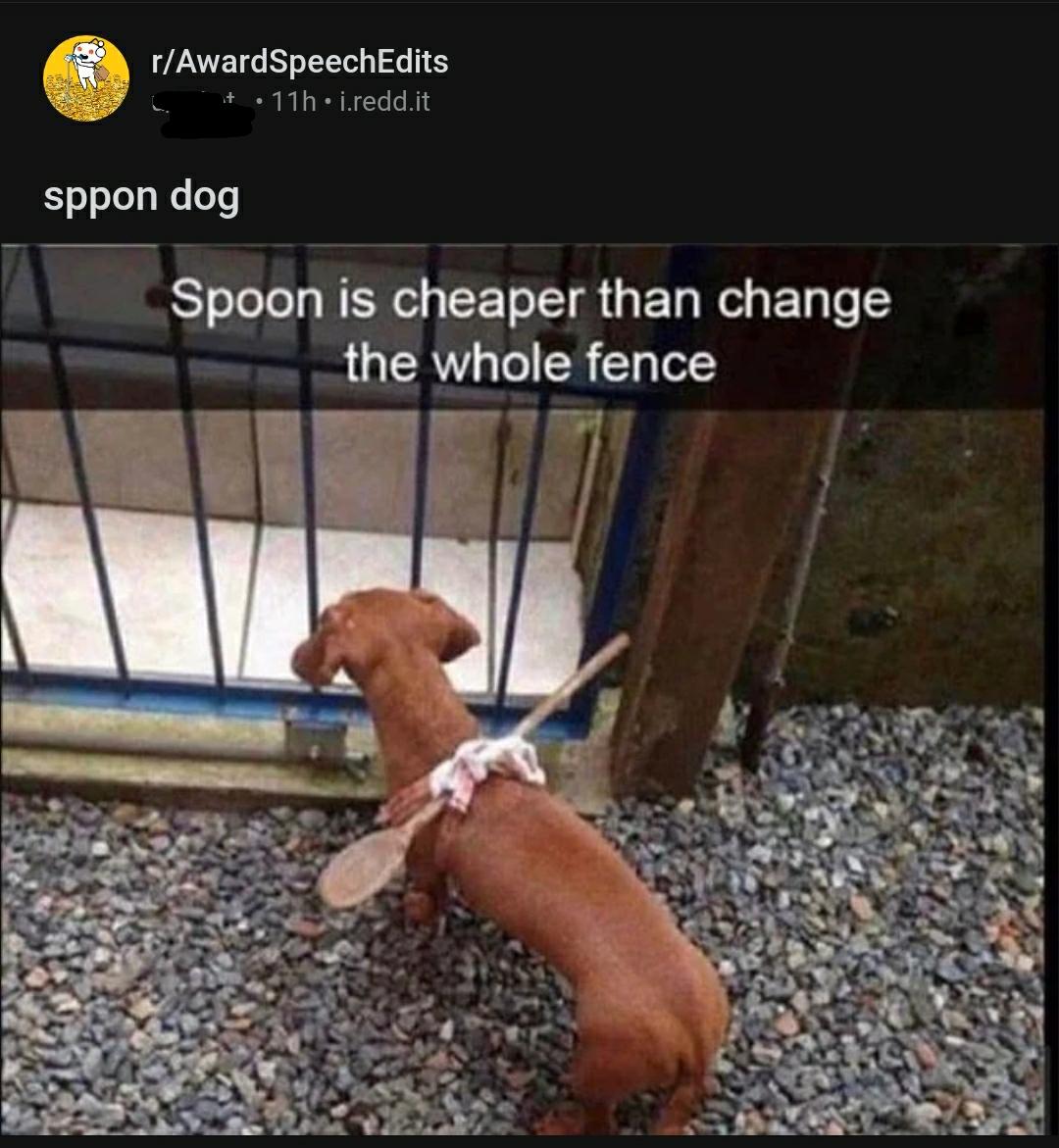 what the dog doin' r/lostredditors