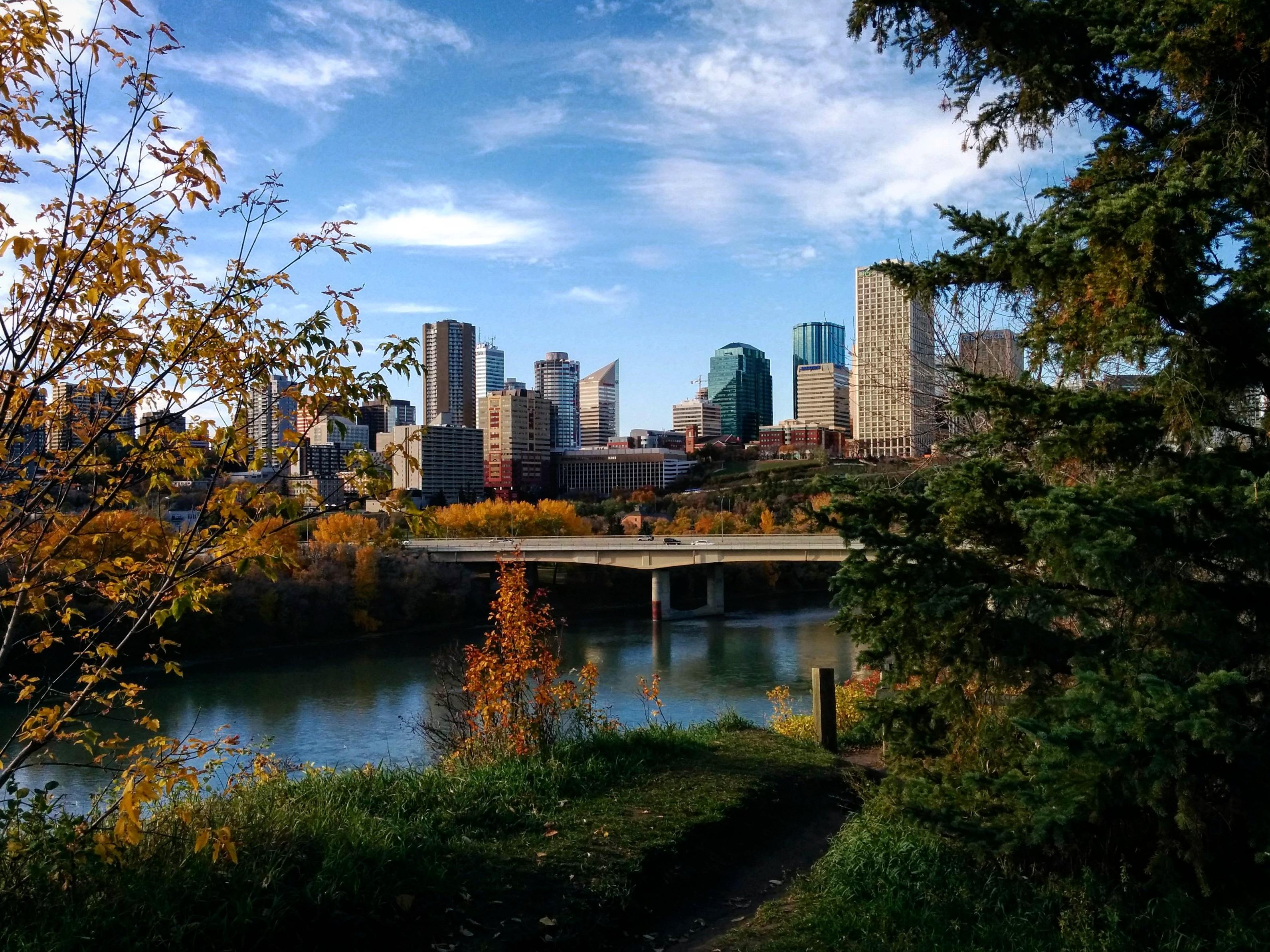 View of Downtown Edmonton, AB from the River Valley. r/CityFans
