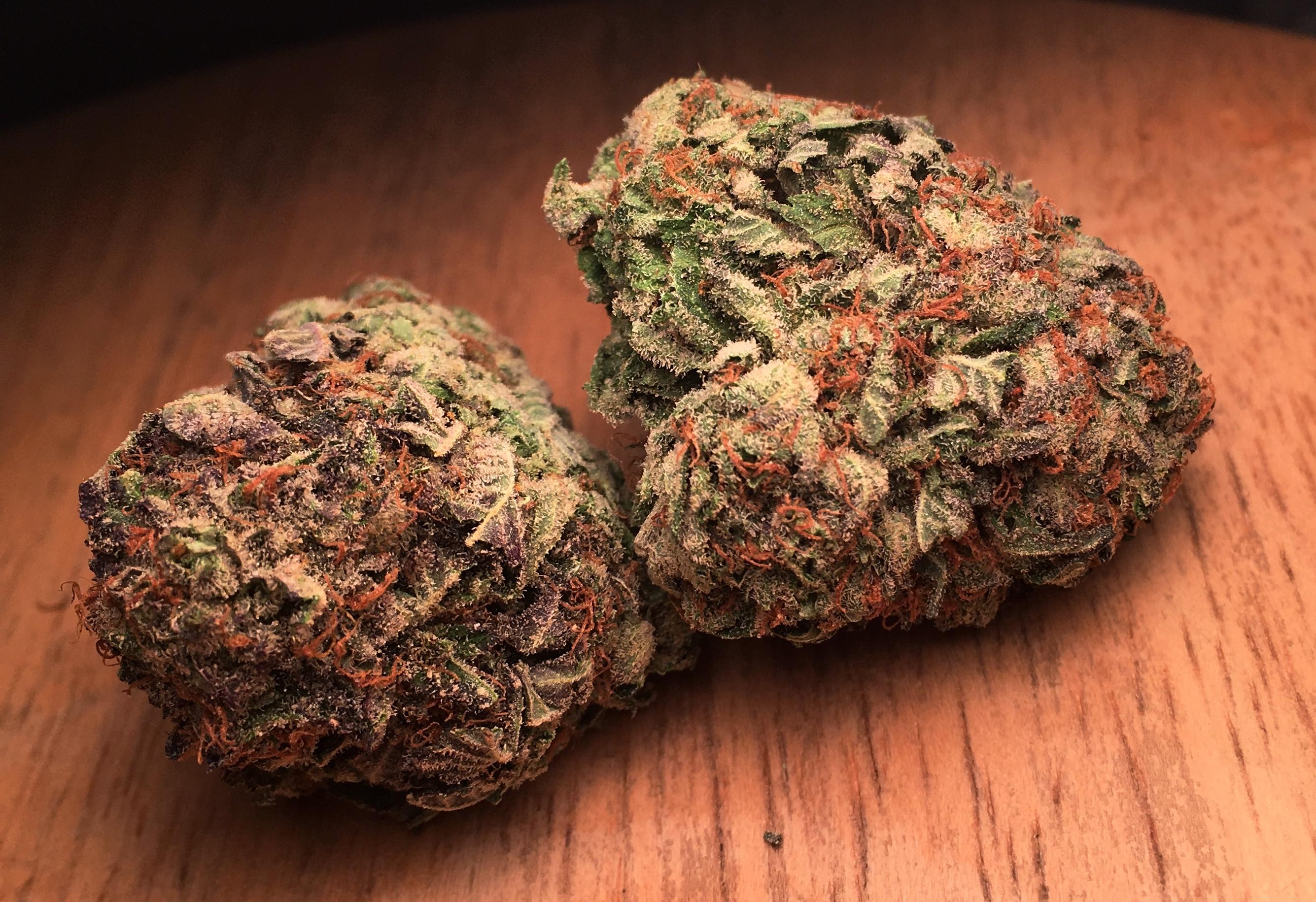 King's Kush from BCMediChronic 140/oz Nov 2017 / AWESOME r/MOMpics