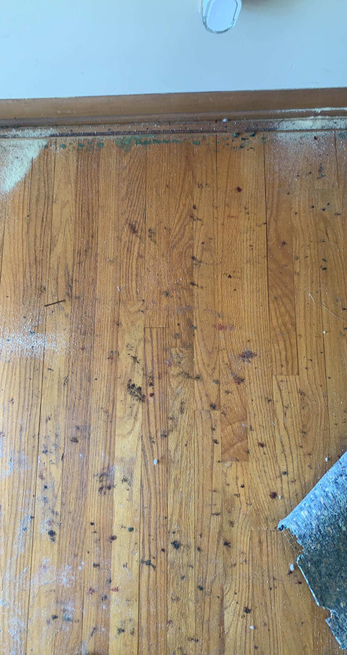 Removing glue from hardwood what products should I use to remove the