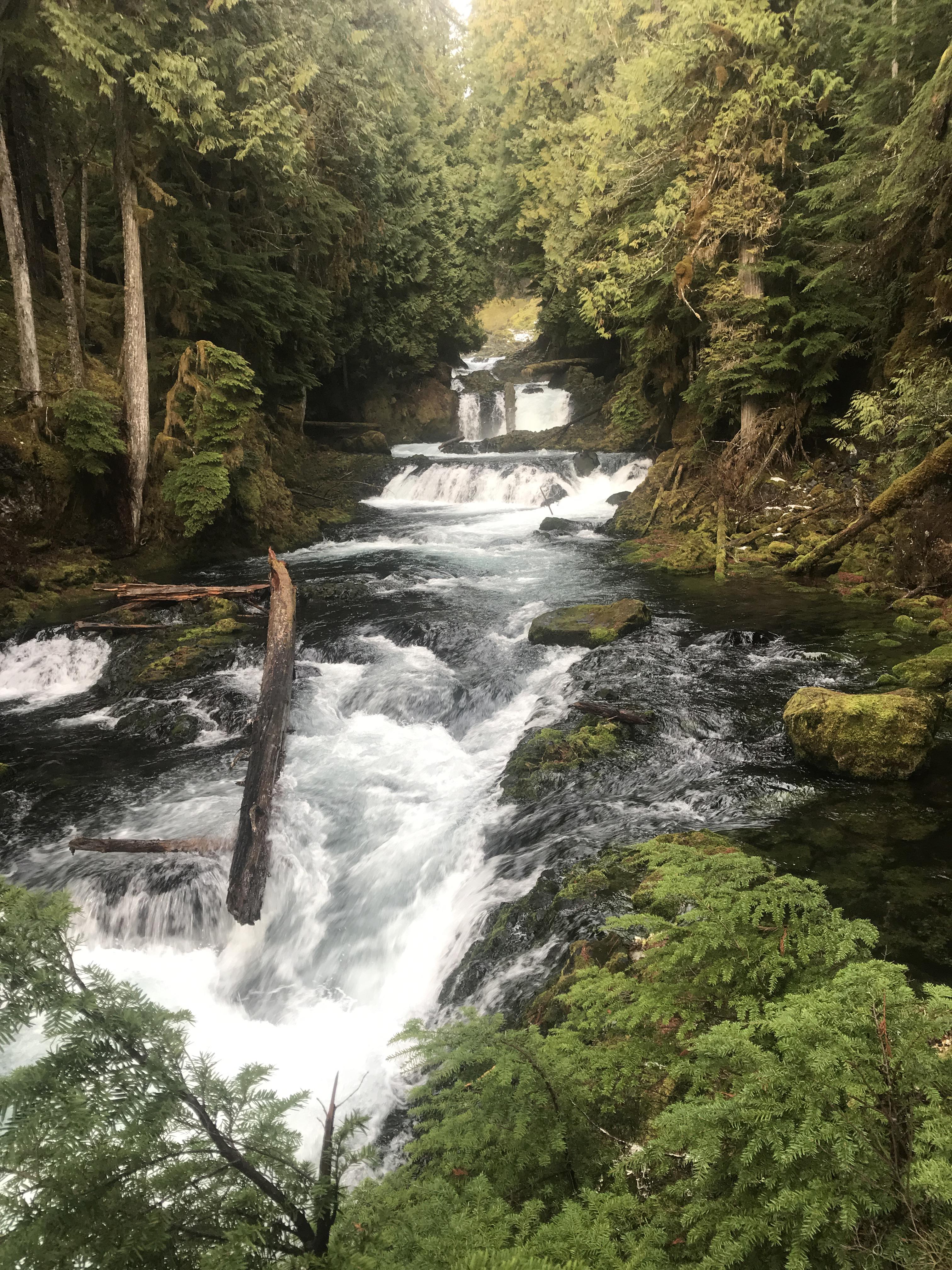 McKenzie River, Oregon [OC] [3024x4032] r/EarthPorn