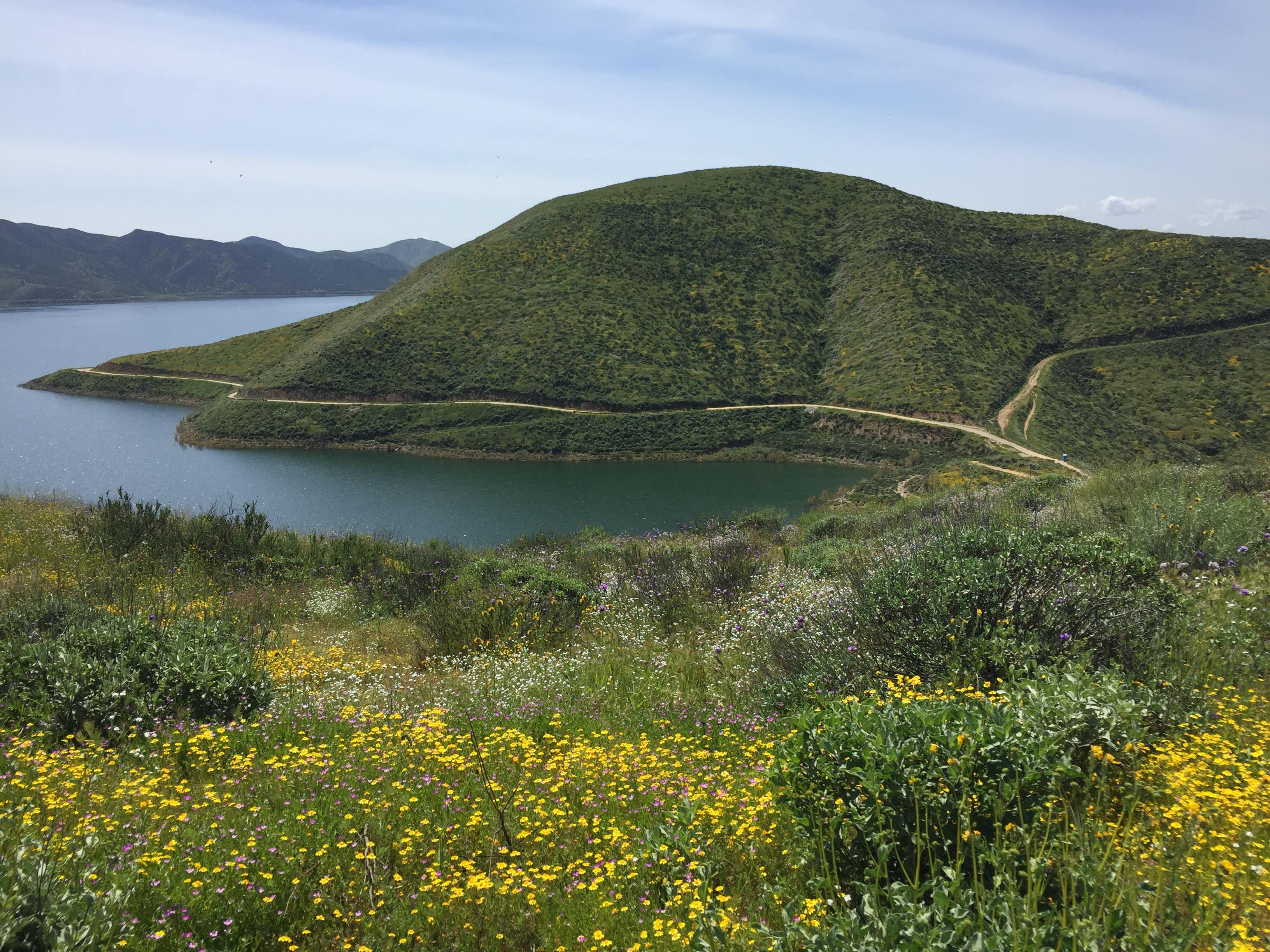 Diamond Valley Lake in Hemet, CA r/socalhiking