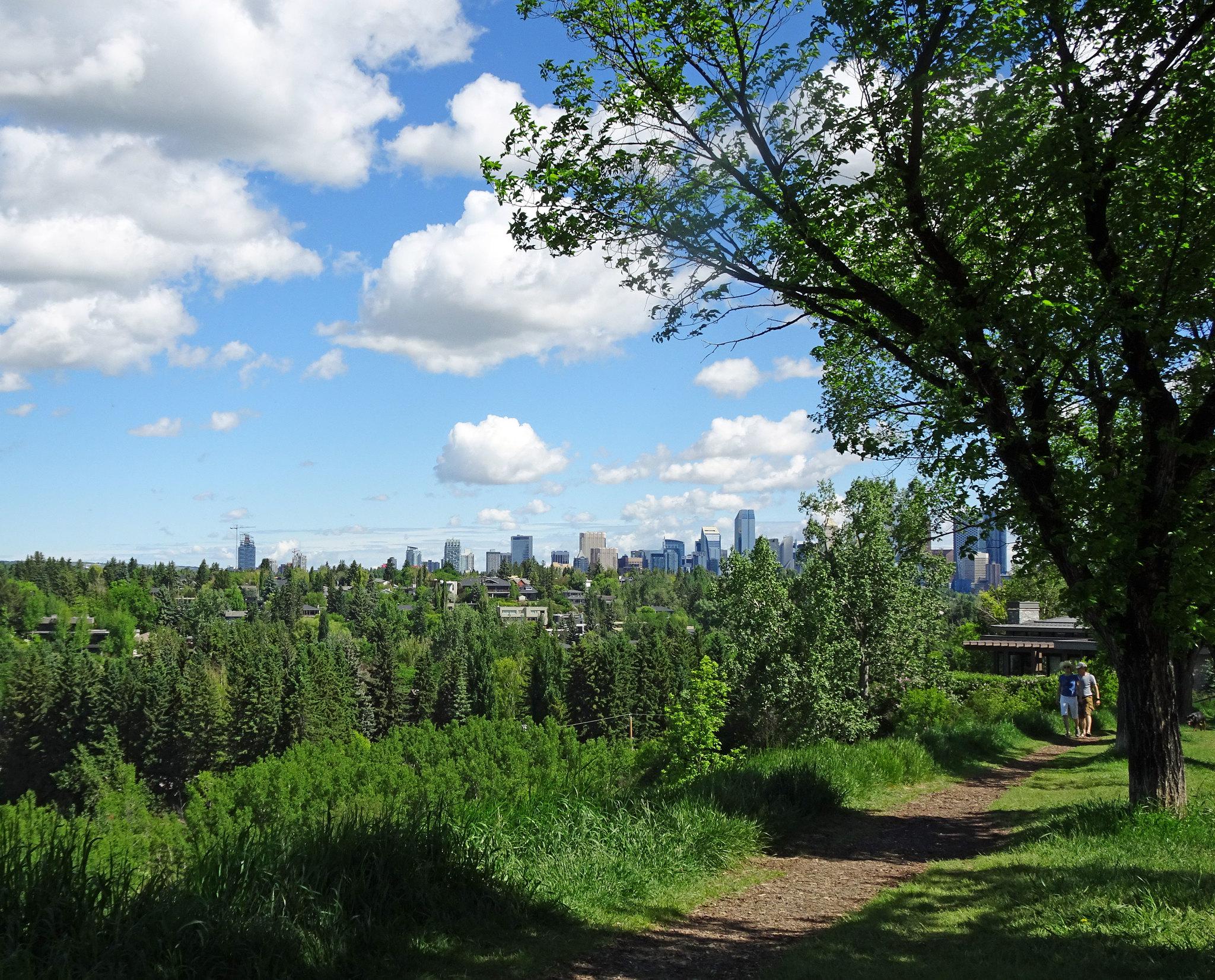 Elbow River Pathway Brittania r/Calgary