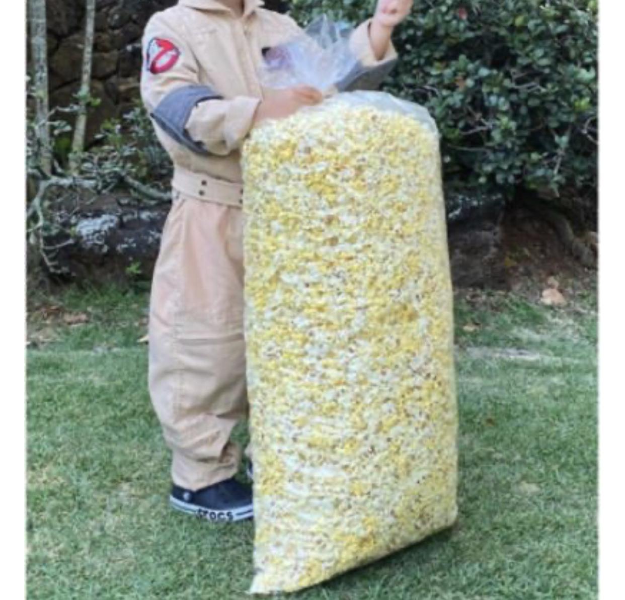 Our local theaters are selling these giant bags of popcorn r/RegalUnlimited