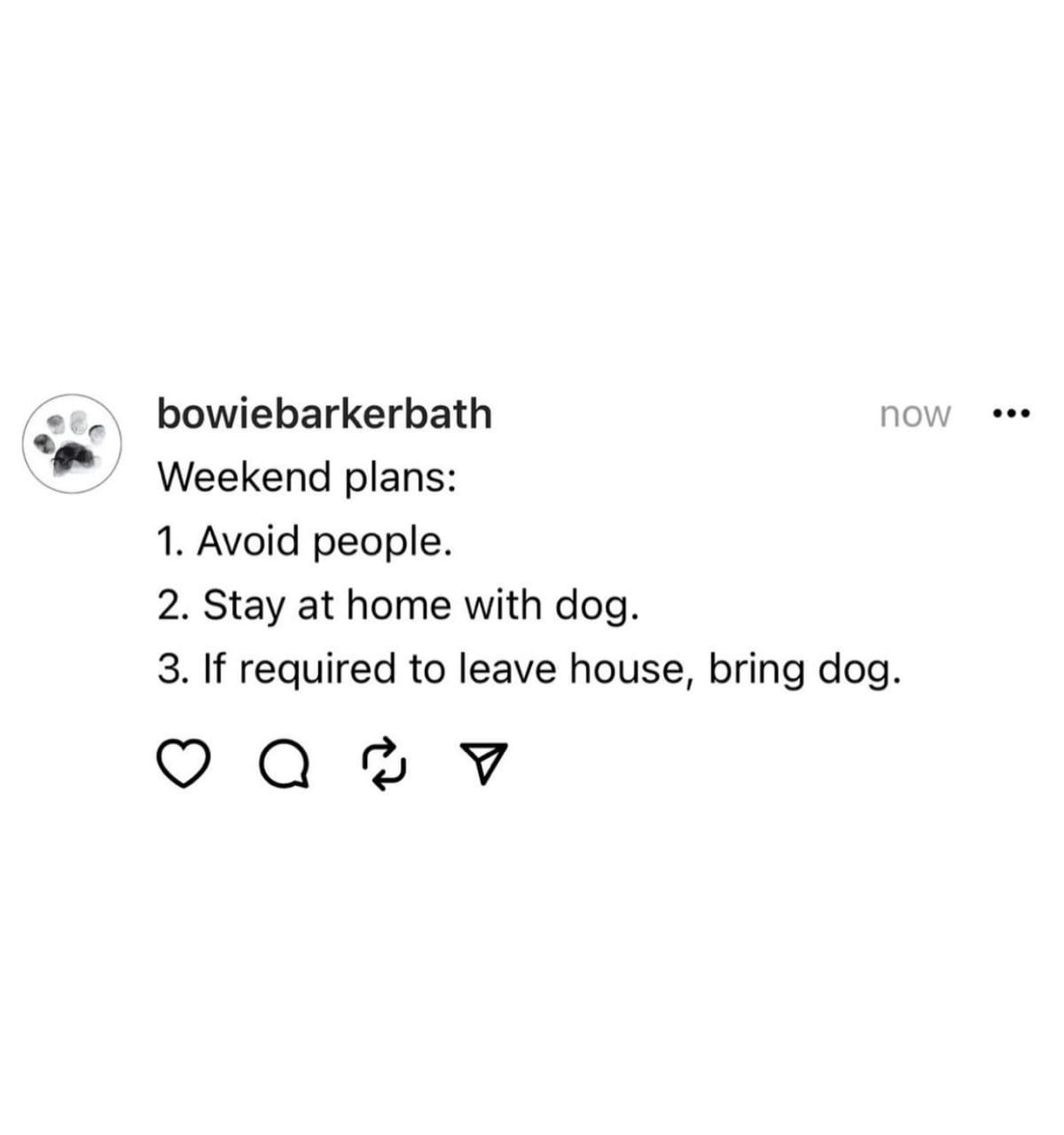 Best plans ever r/goldenretrievers