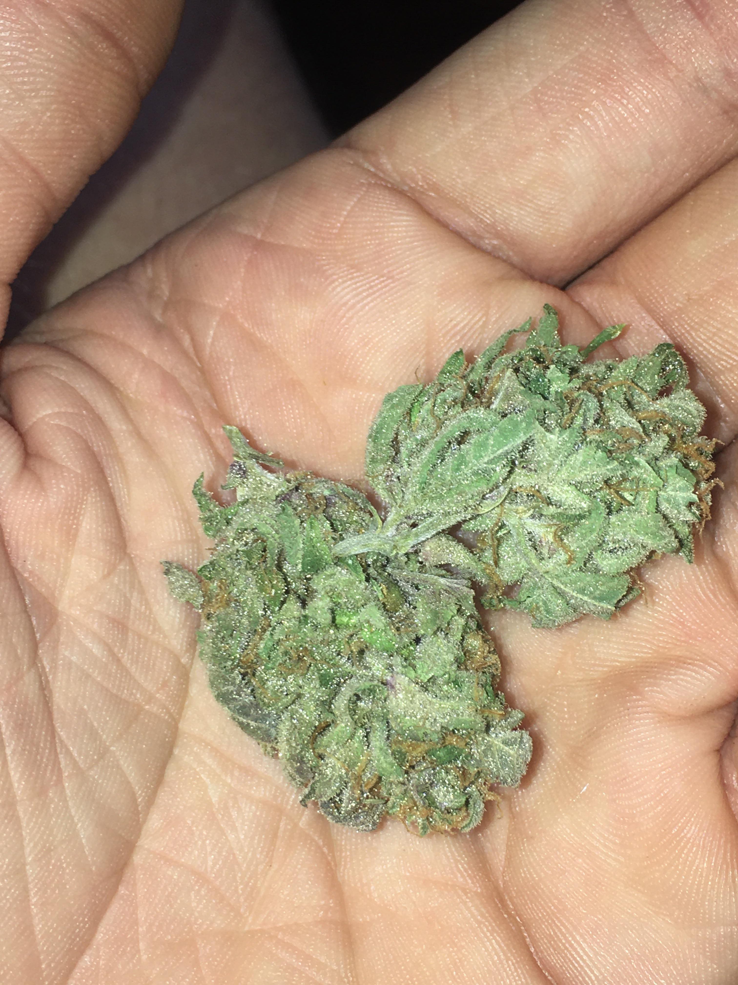 Forbidden fruit cake 🍰 (wedding cake x forbidden fruit) Sydney ausents