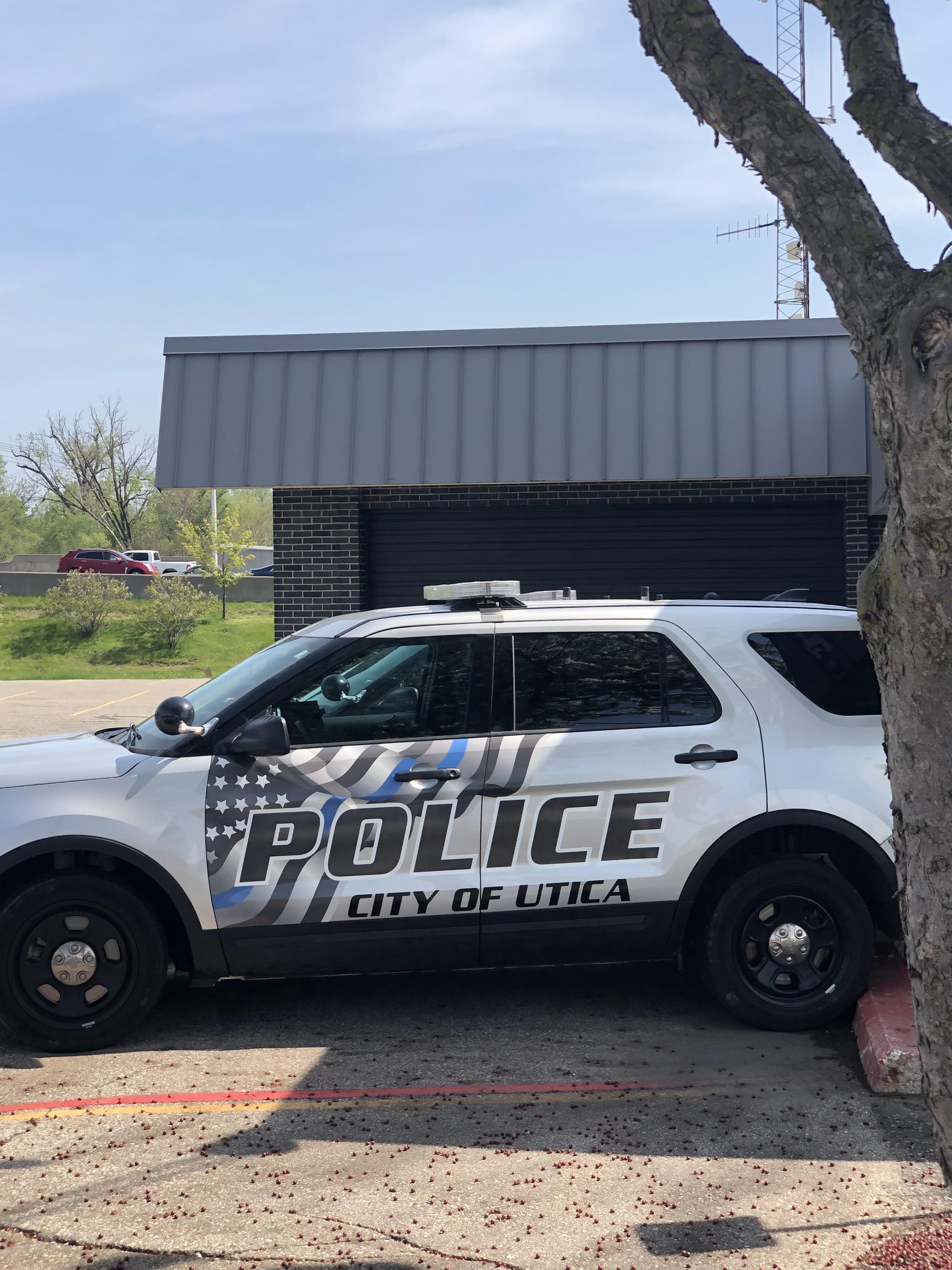 9 best u/dozerthegolden images on Pholder Mildlyvagina, Goldenretrievers and Tacobell