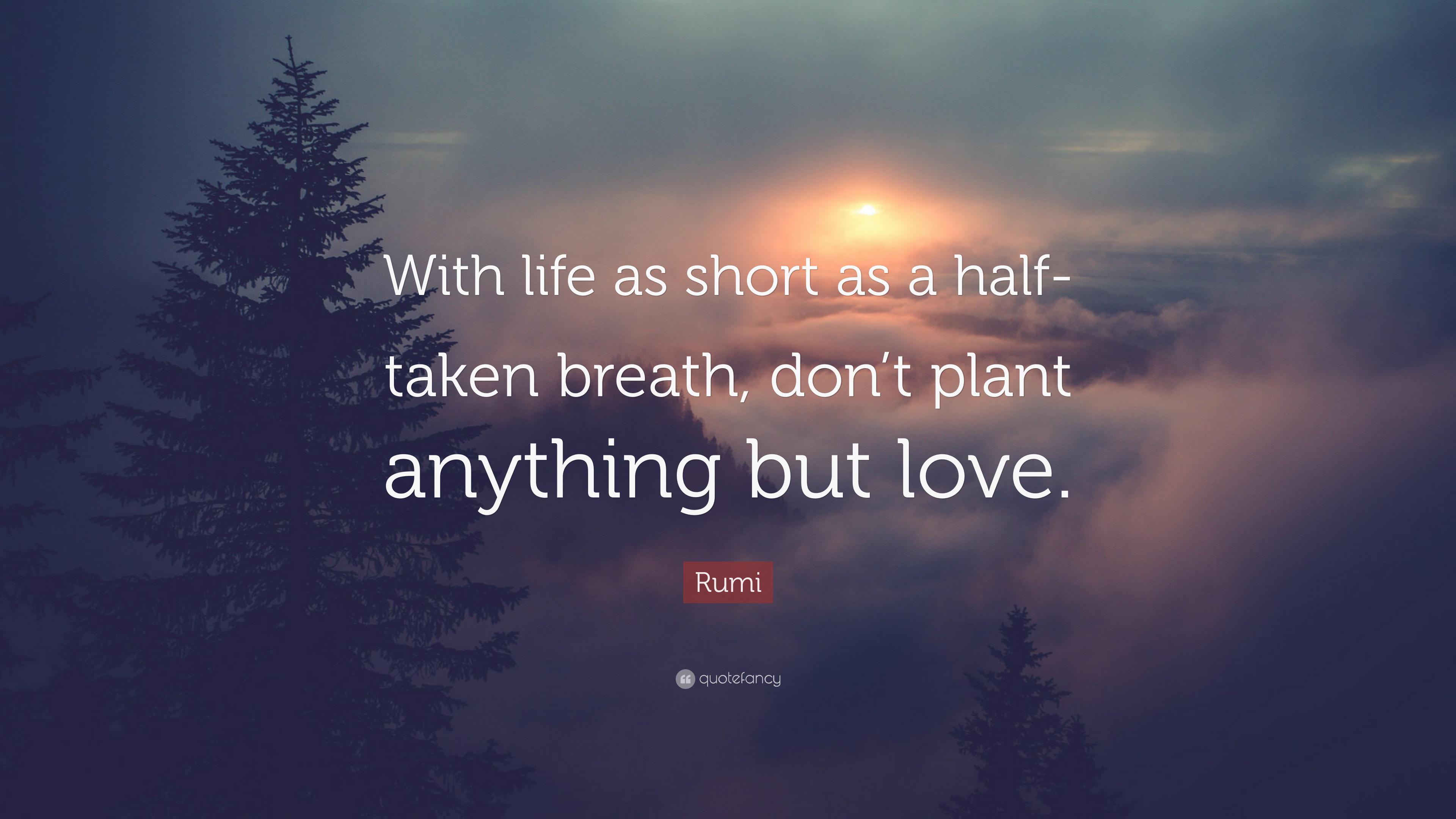 “With life as short as a halftaken breath, don’t plant anything but