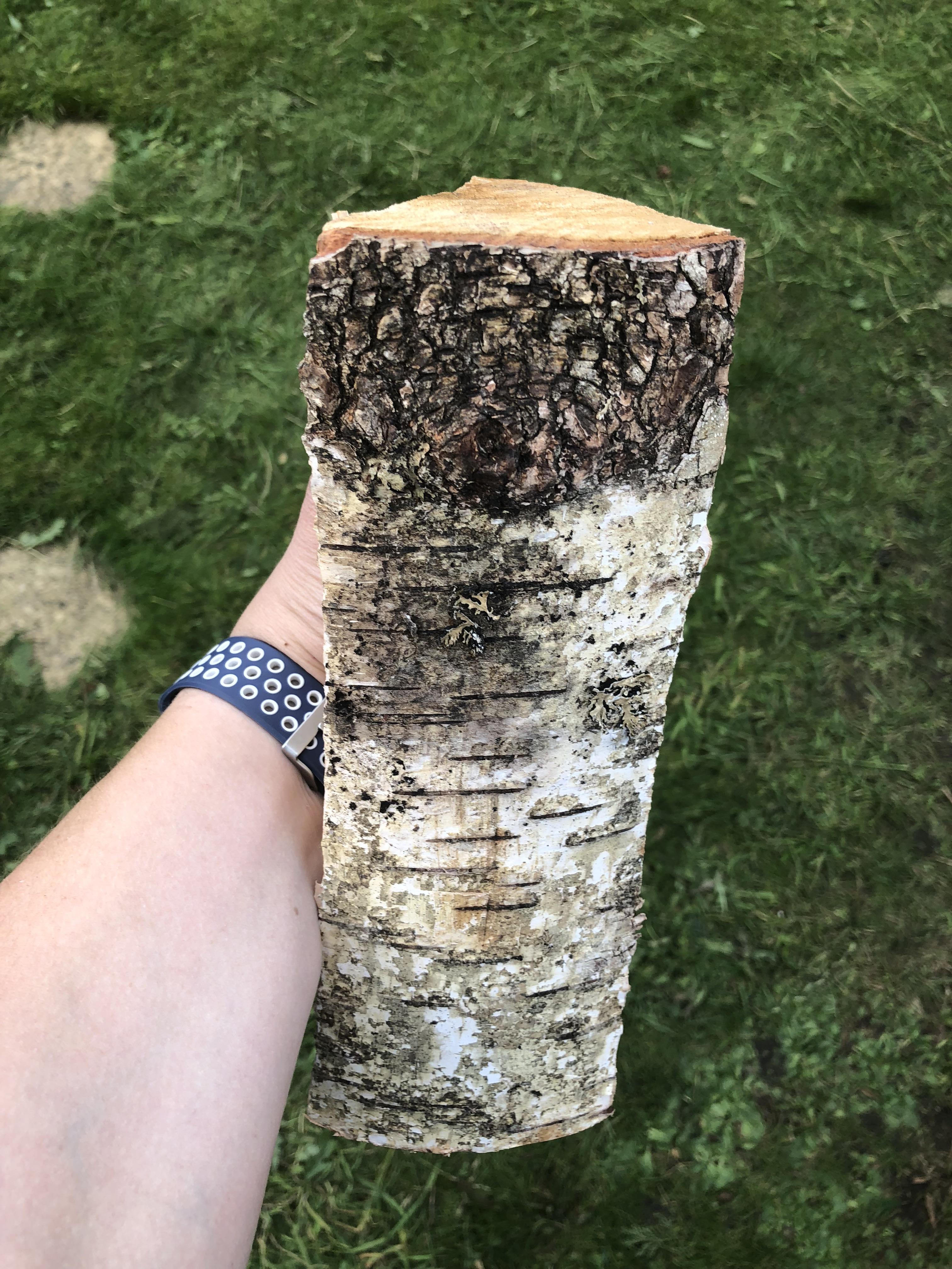 Is this birch wood? r/BBQ