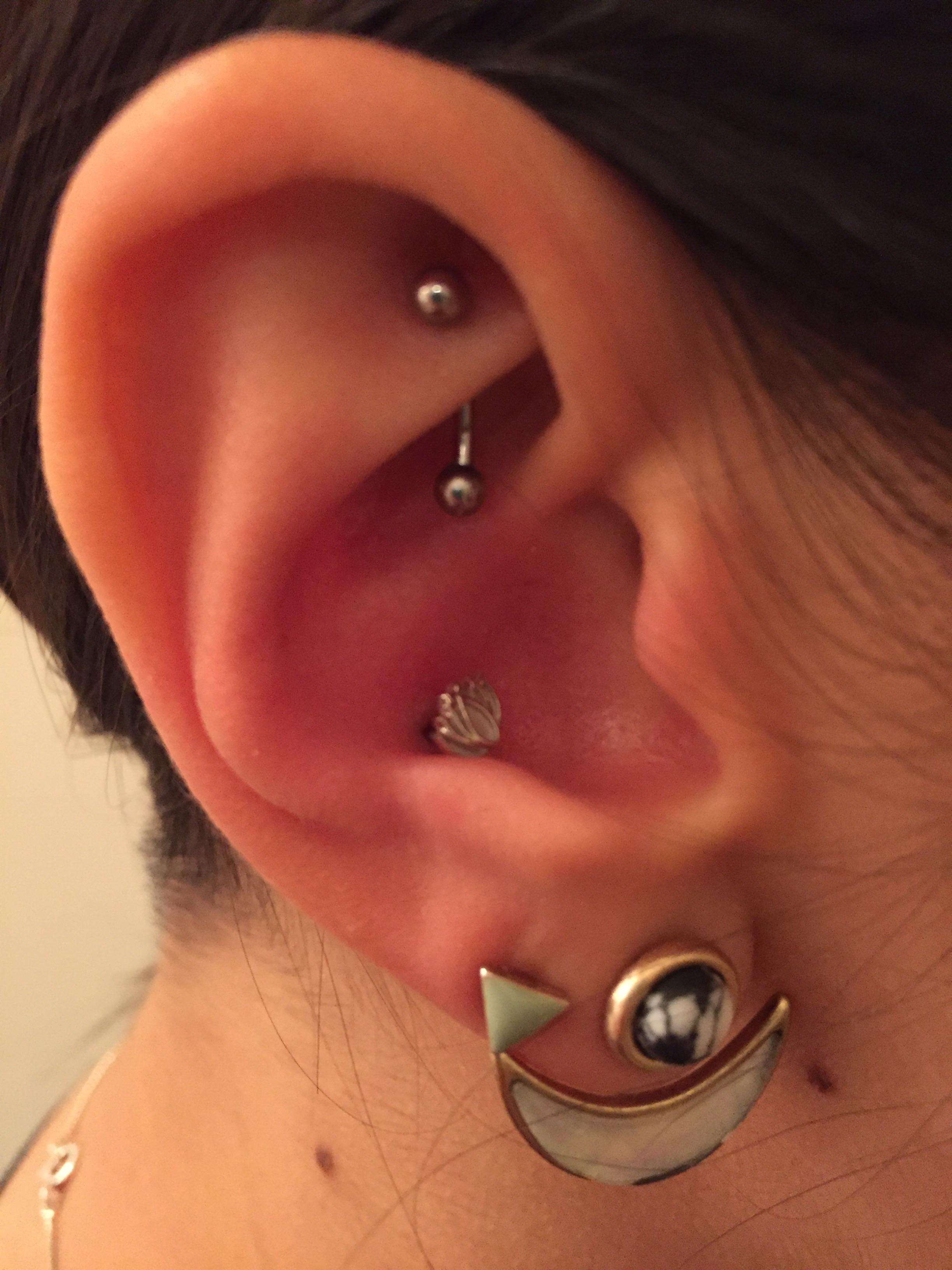 My Lotus Conch jewelry from BVLA (+ my little rook) r/piercing