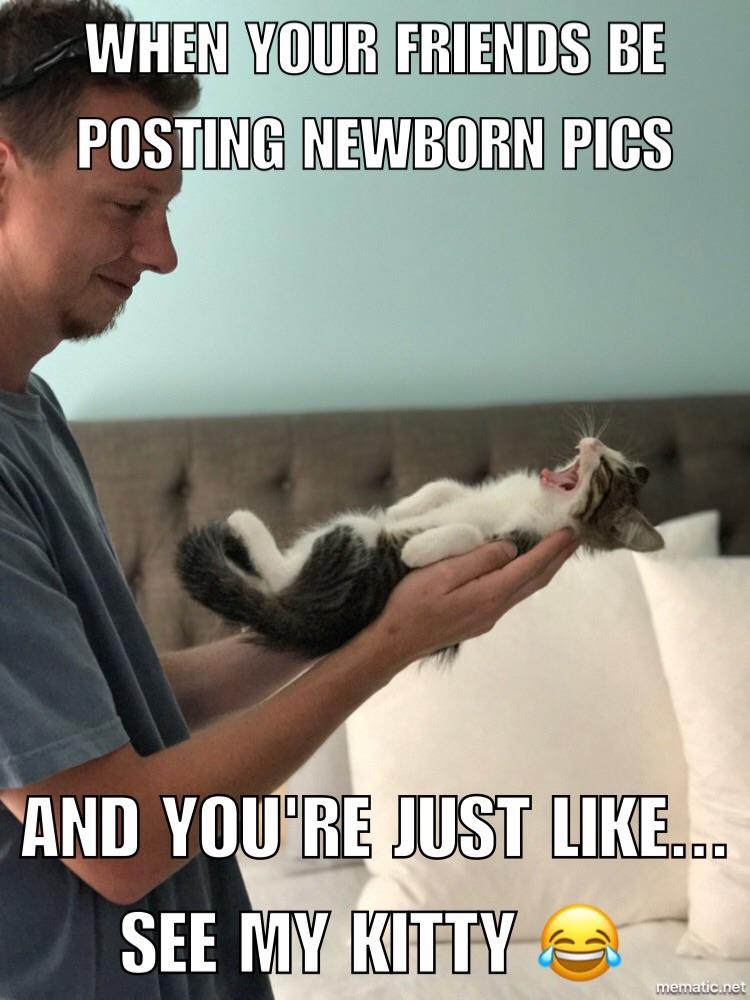 When you love cats more than kids! r/memes