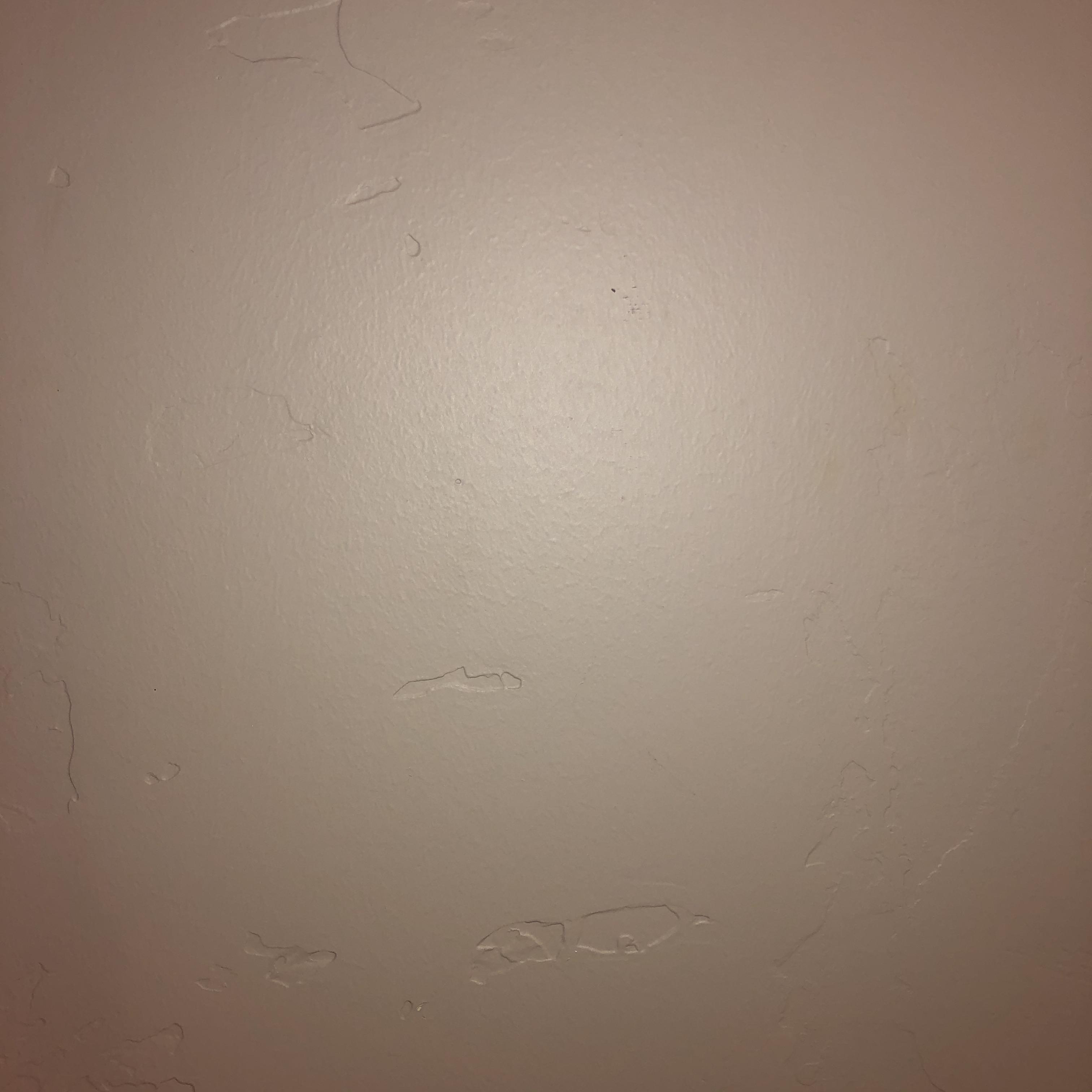 a picture of a wall in my house r/notinteresting