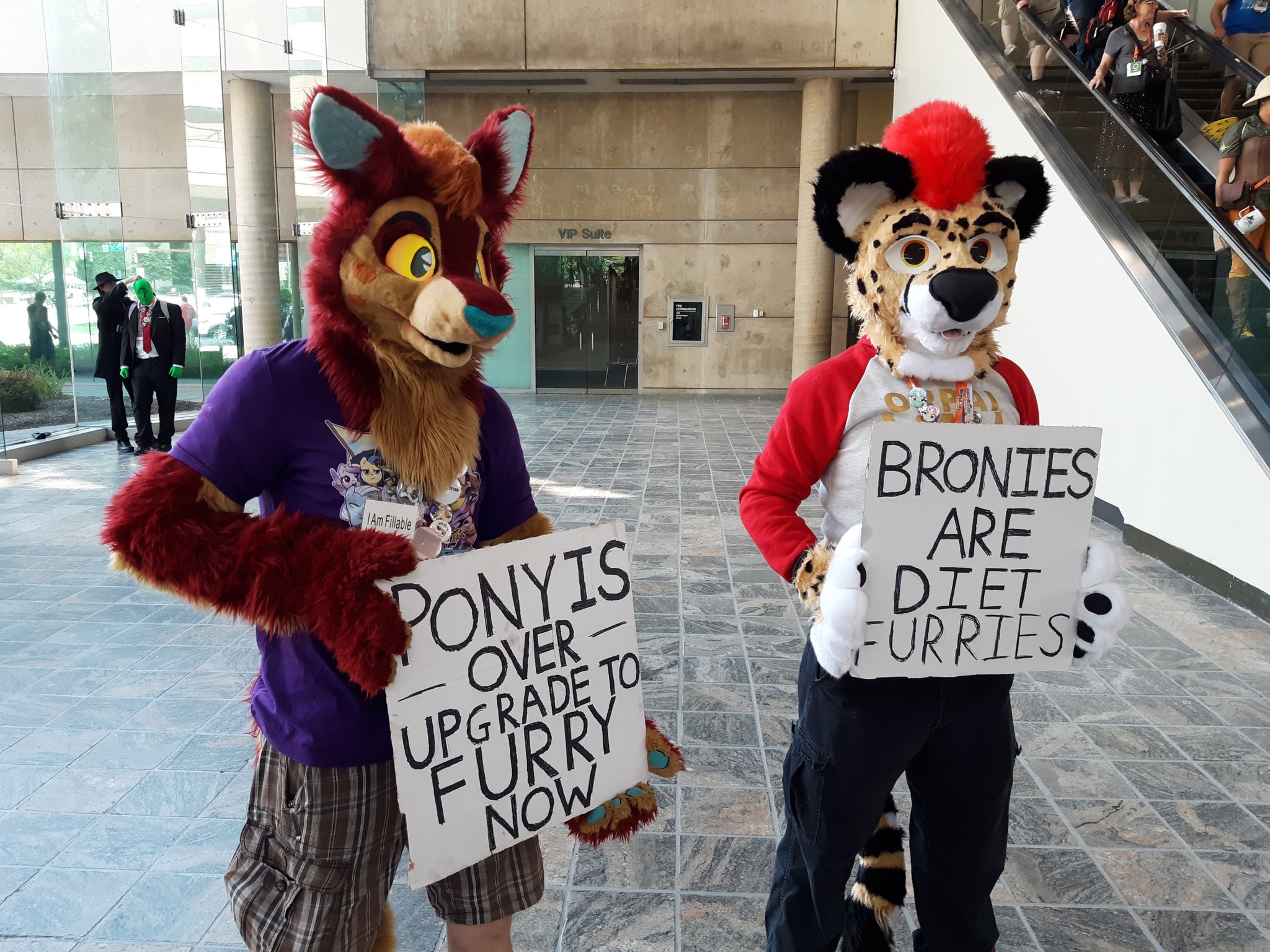 Brony_irl r/furry_irl