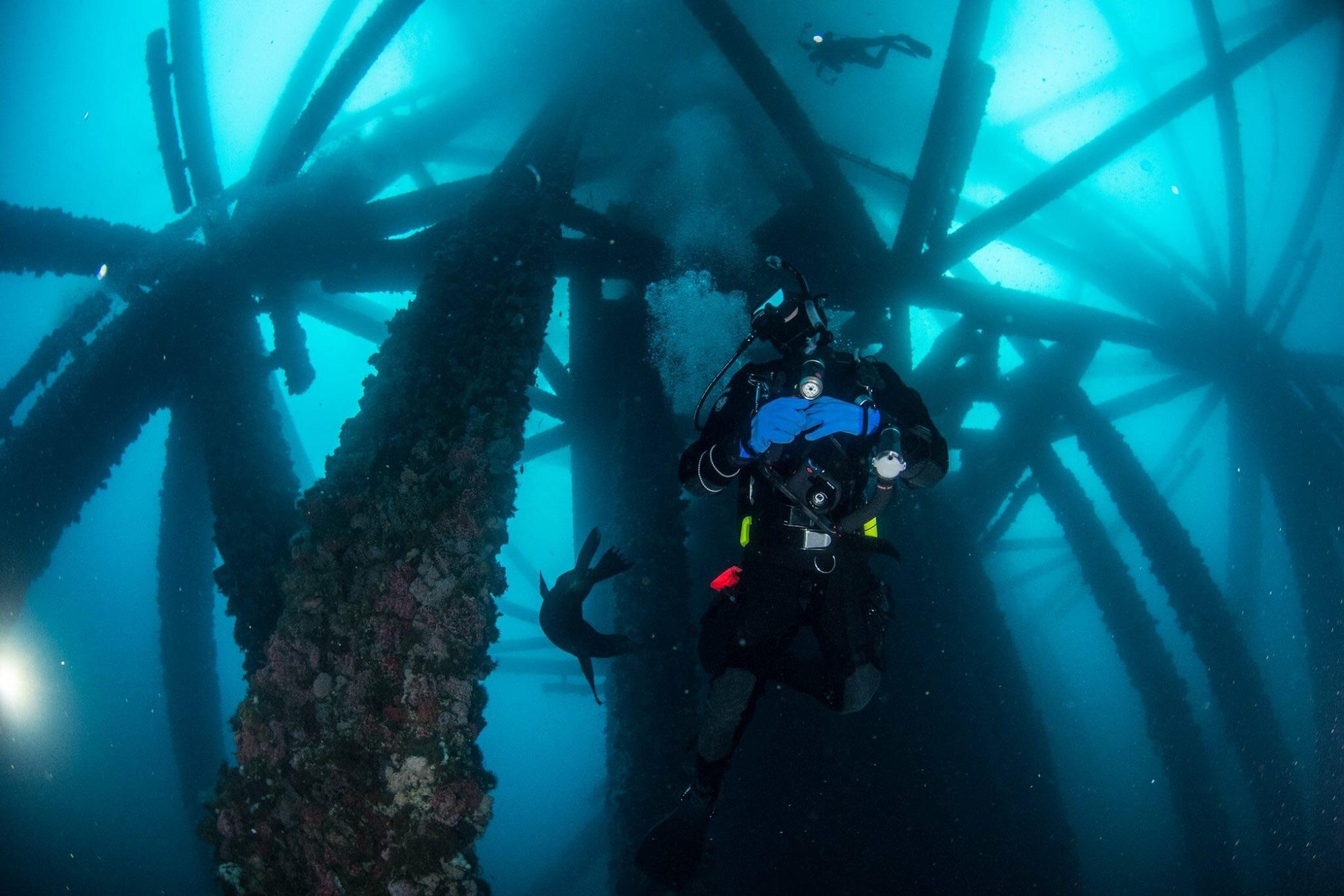 The bottom of an oil rig in Long Beach, California. r/thalassophobia