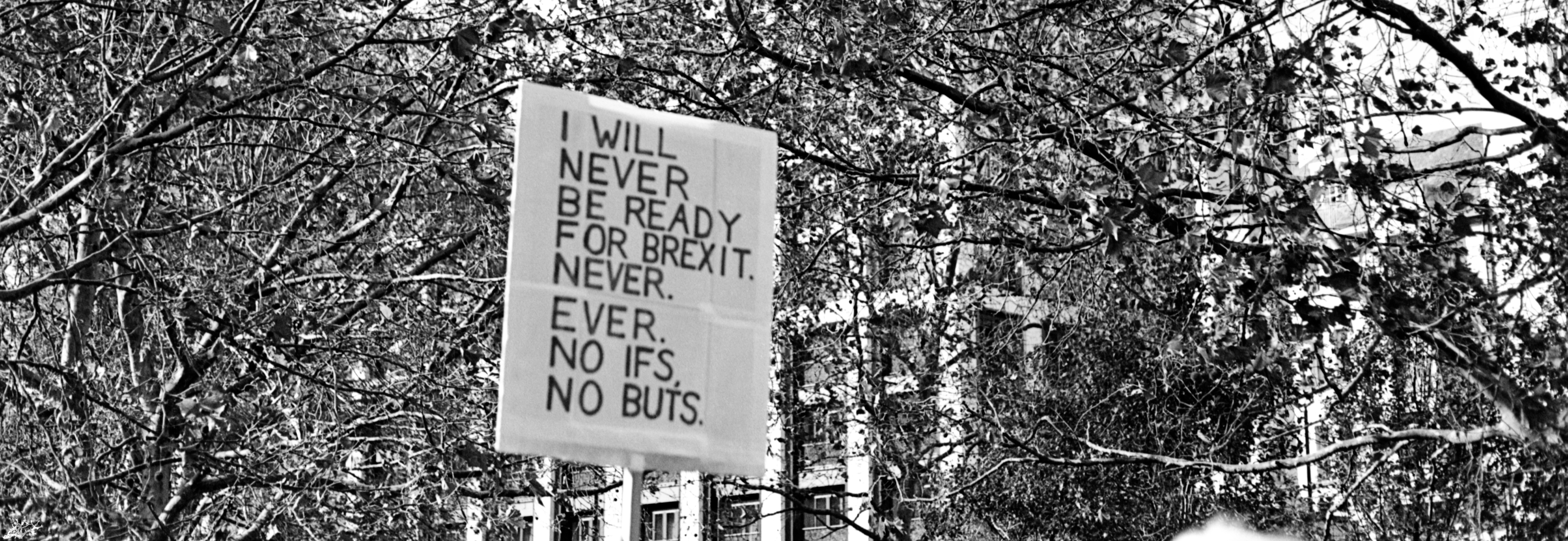 March (Ilford XP2) r/analog_bw