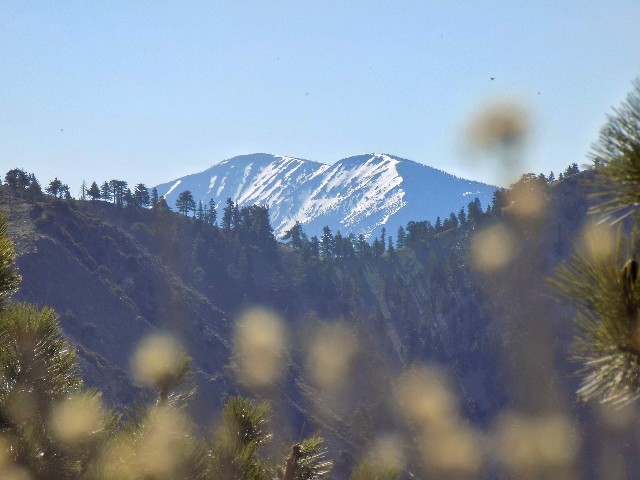 Yesterdays view of Mount Baldy from Mount Islip in the Angeles National Forest in Los Angeles