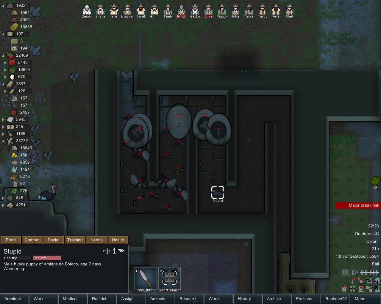 Pet name checks out r/RimWorld