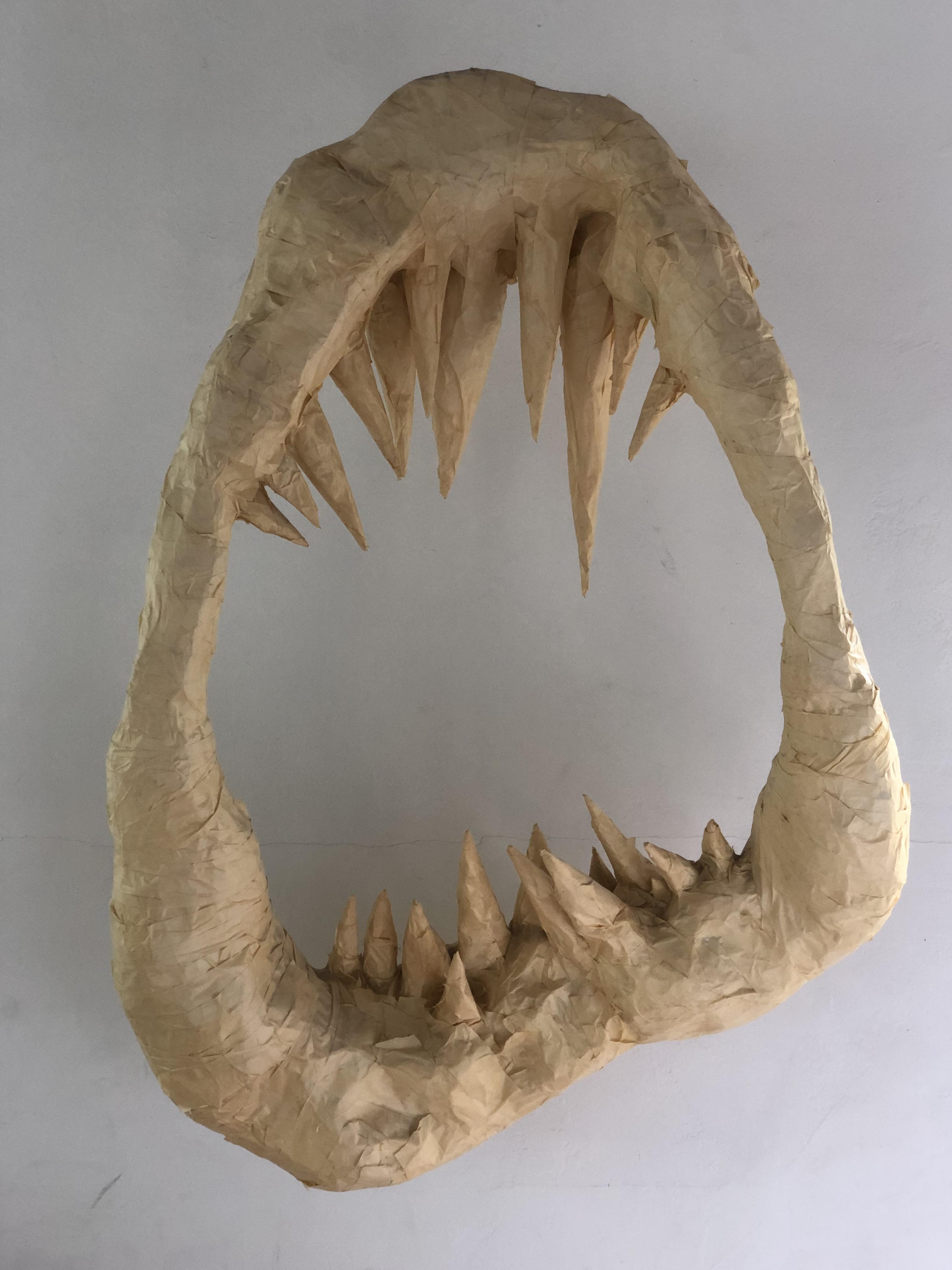 Shark Jaw Bones in a Museum r/confusing_perspective