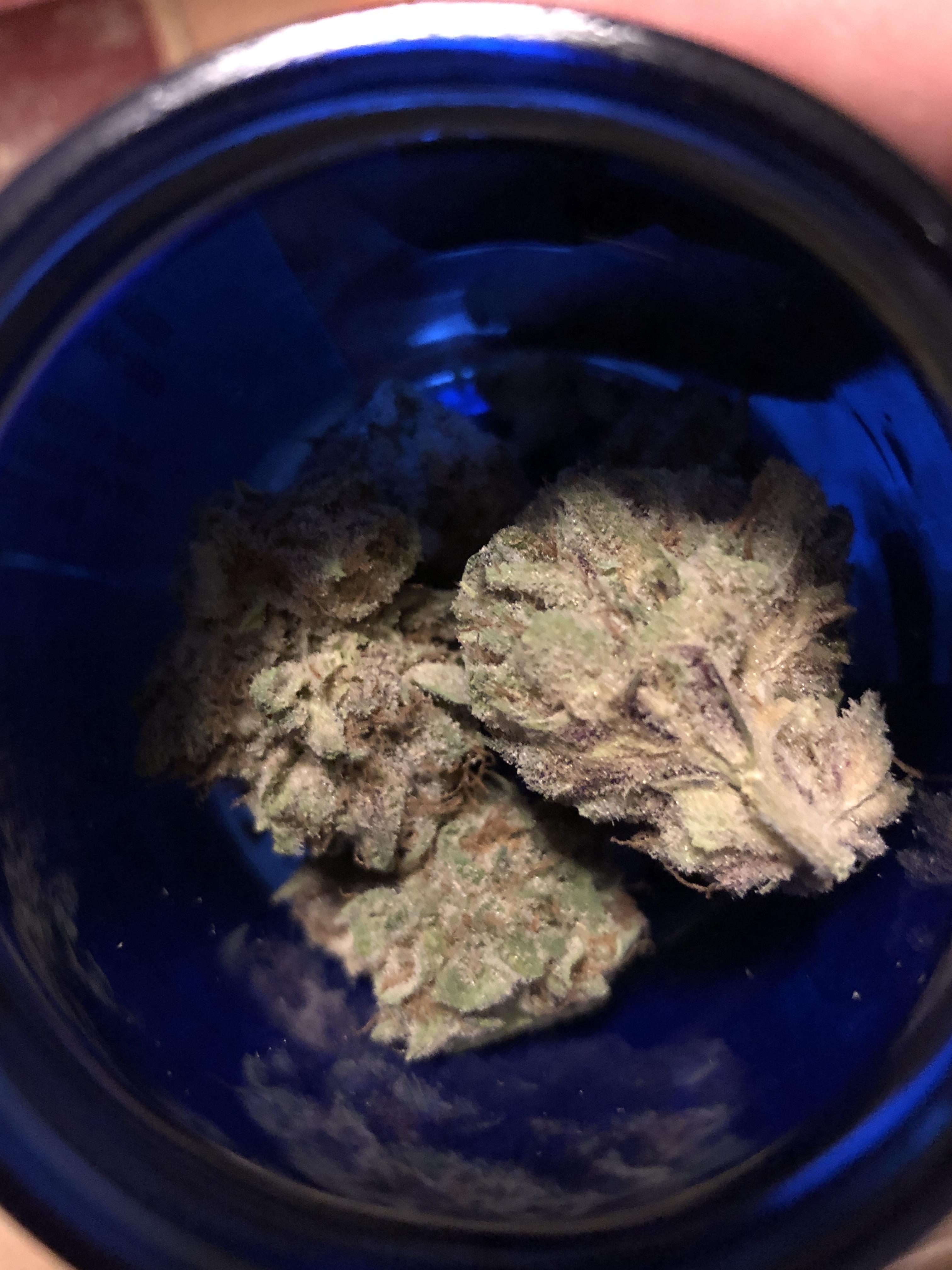 Mimosa...beautiful bud r/NewJerseyMarijuana