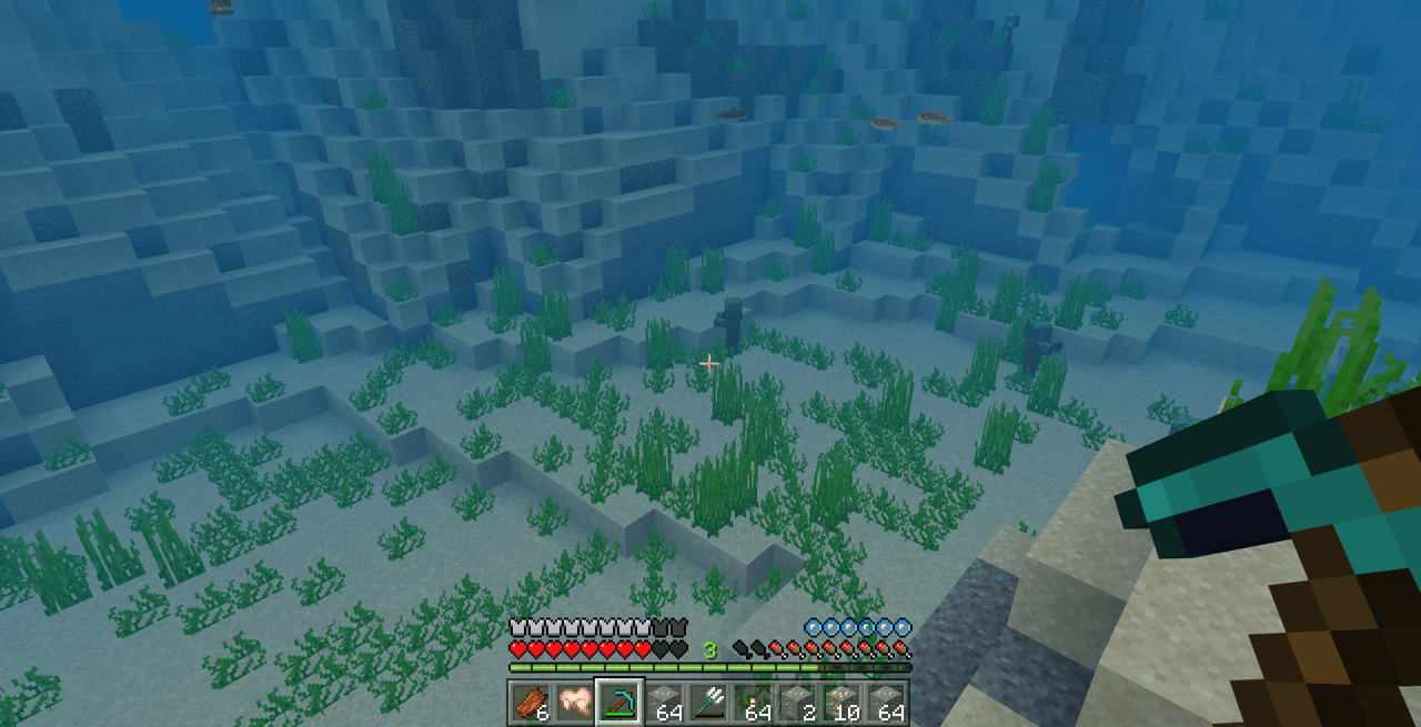 So I found this zombie villager underwater, and as soon as it got cured