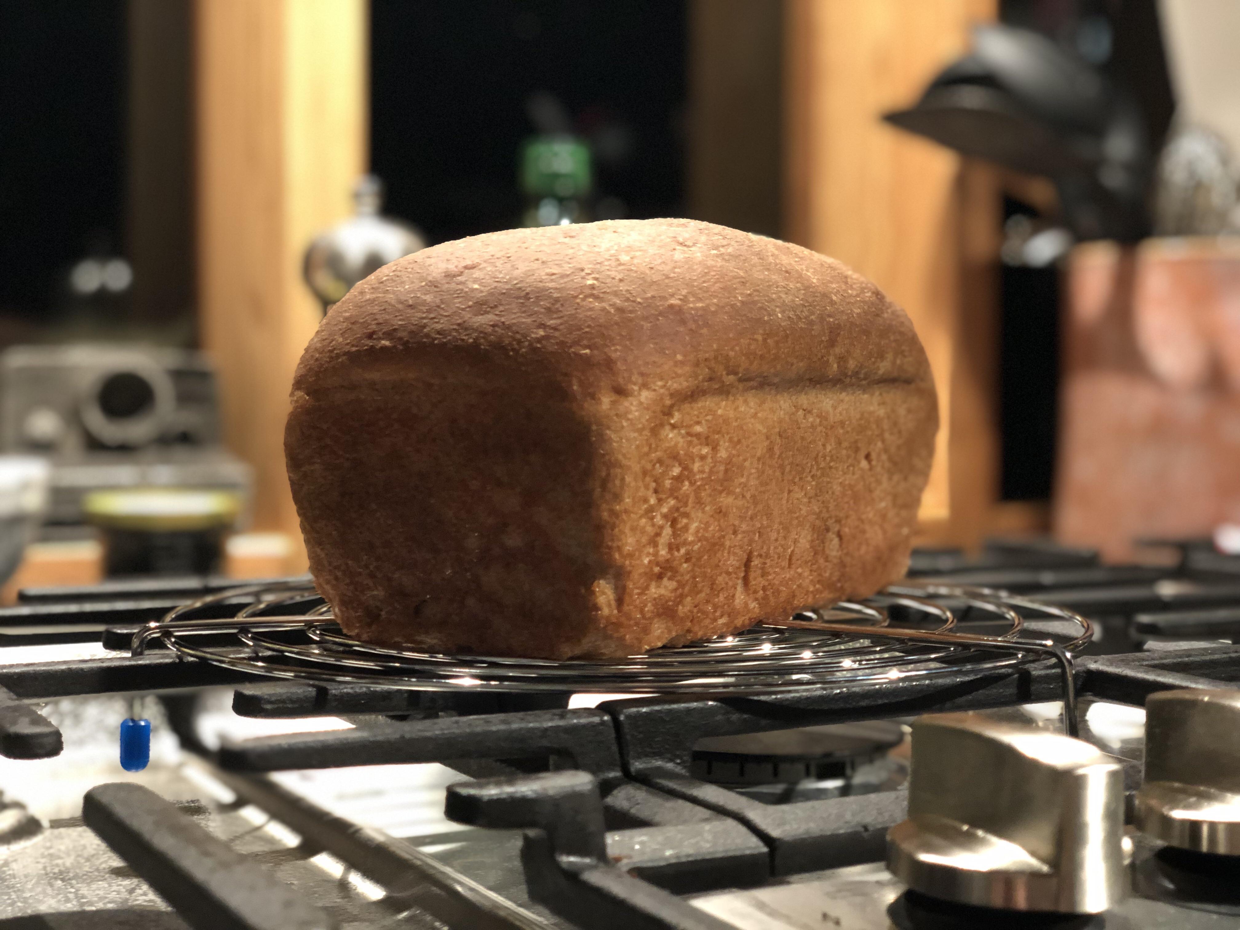 100 Whole Wheat Bread r/seriouseats
