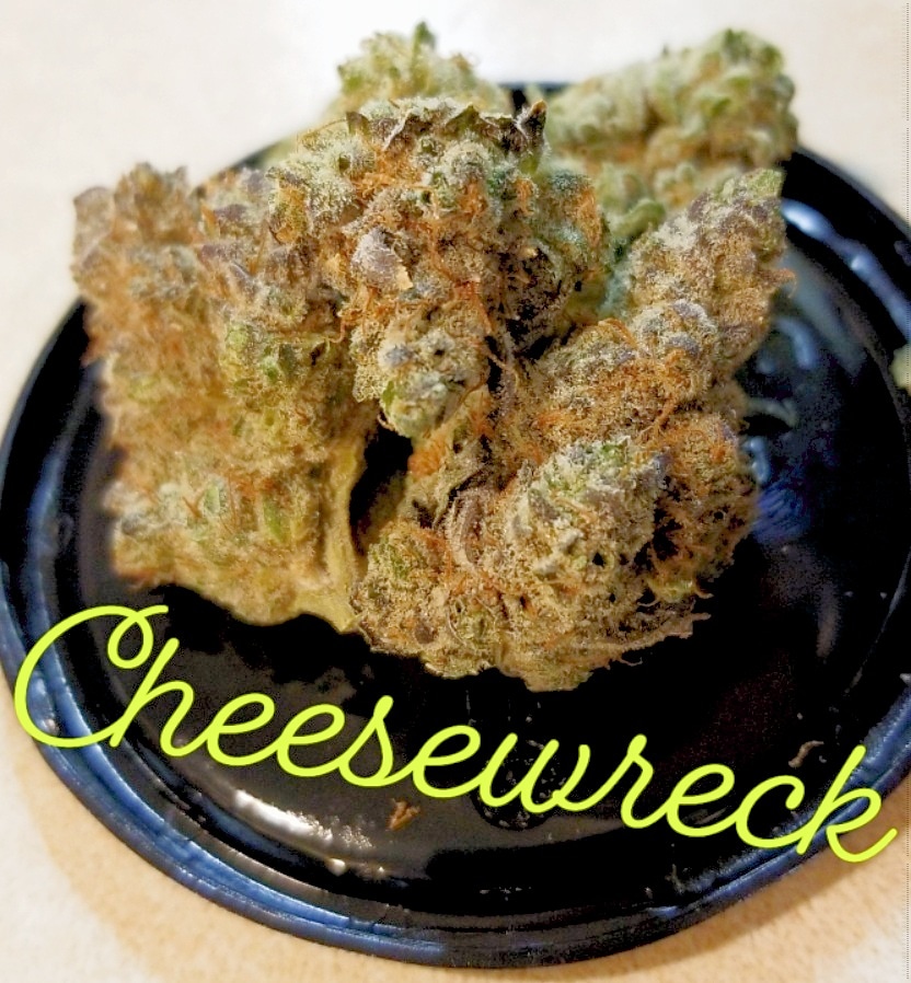 Cheesewreck by Calypso (review in comments) r/PaMedicalMarijuana