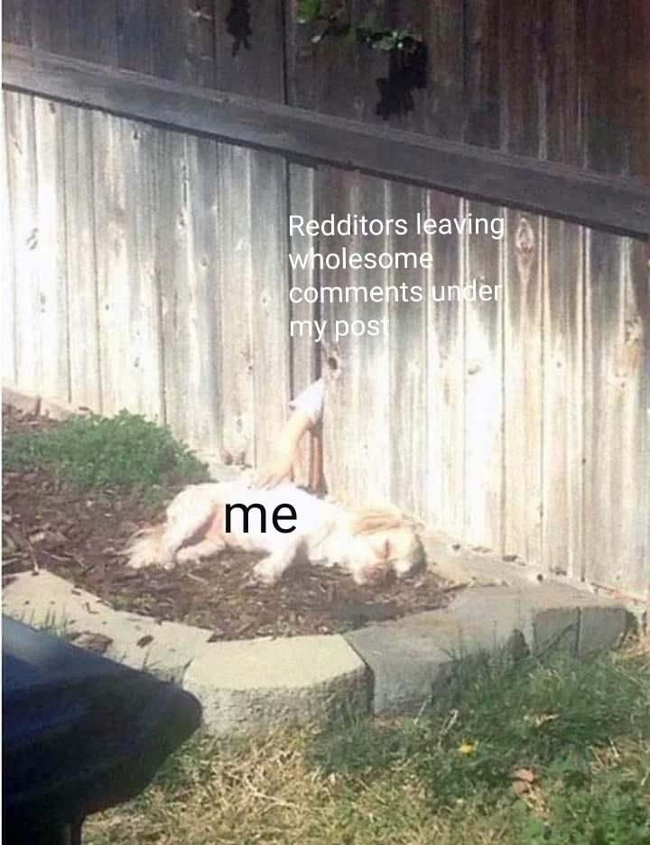 In case of a ruff day r/wholesomememes