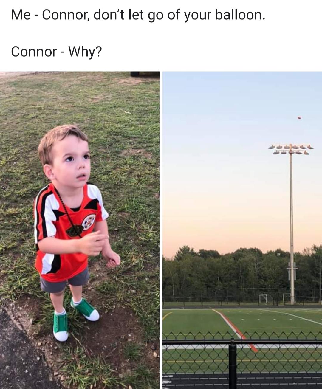 Stocks Can Only Go Up Meme / Stonks Only Go Up Stocks Meme Available