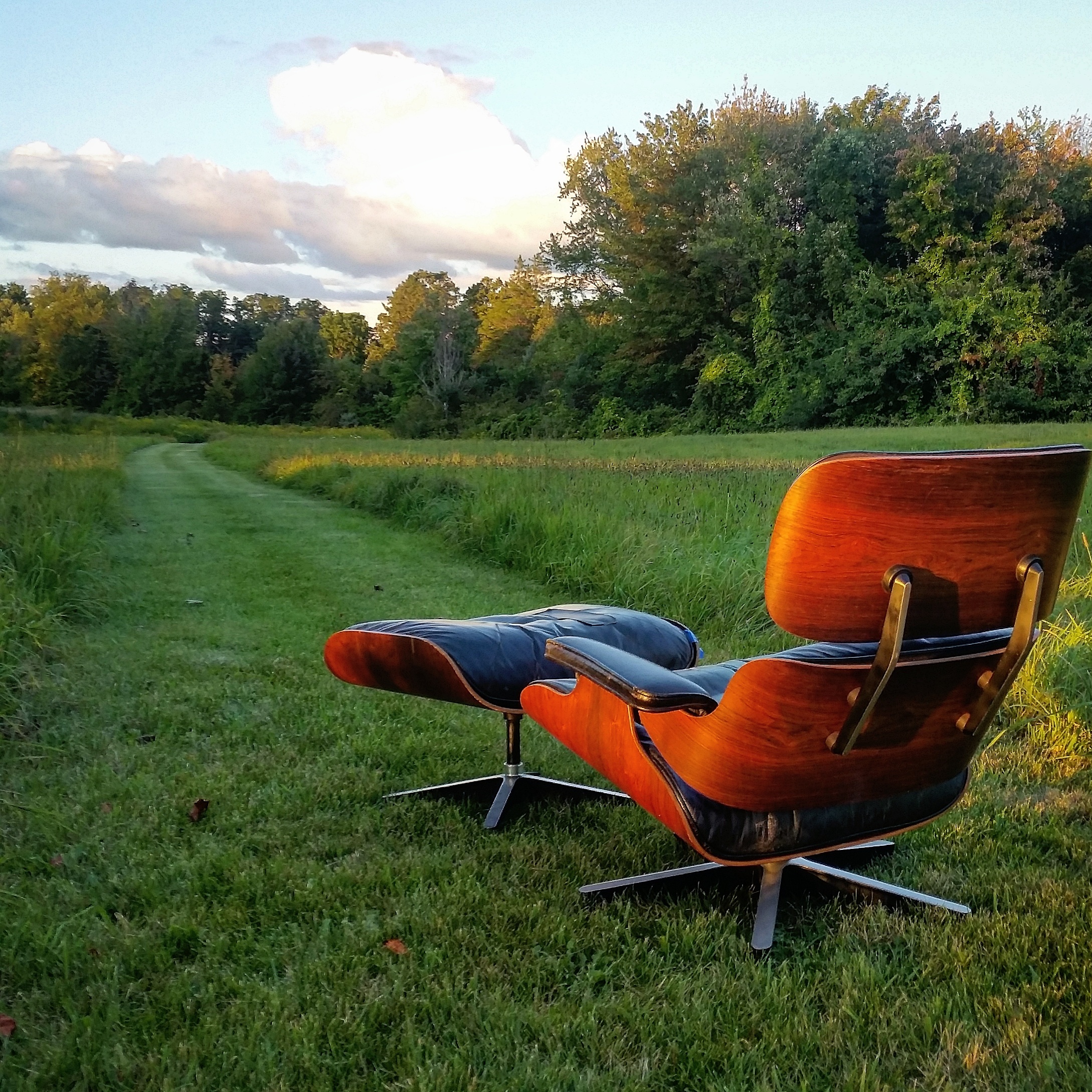 Finally bought a real Eames lounge chair r/Mid_Century