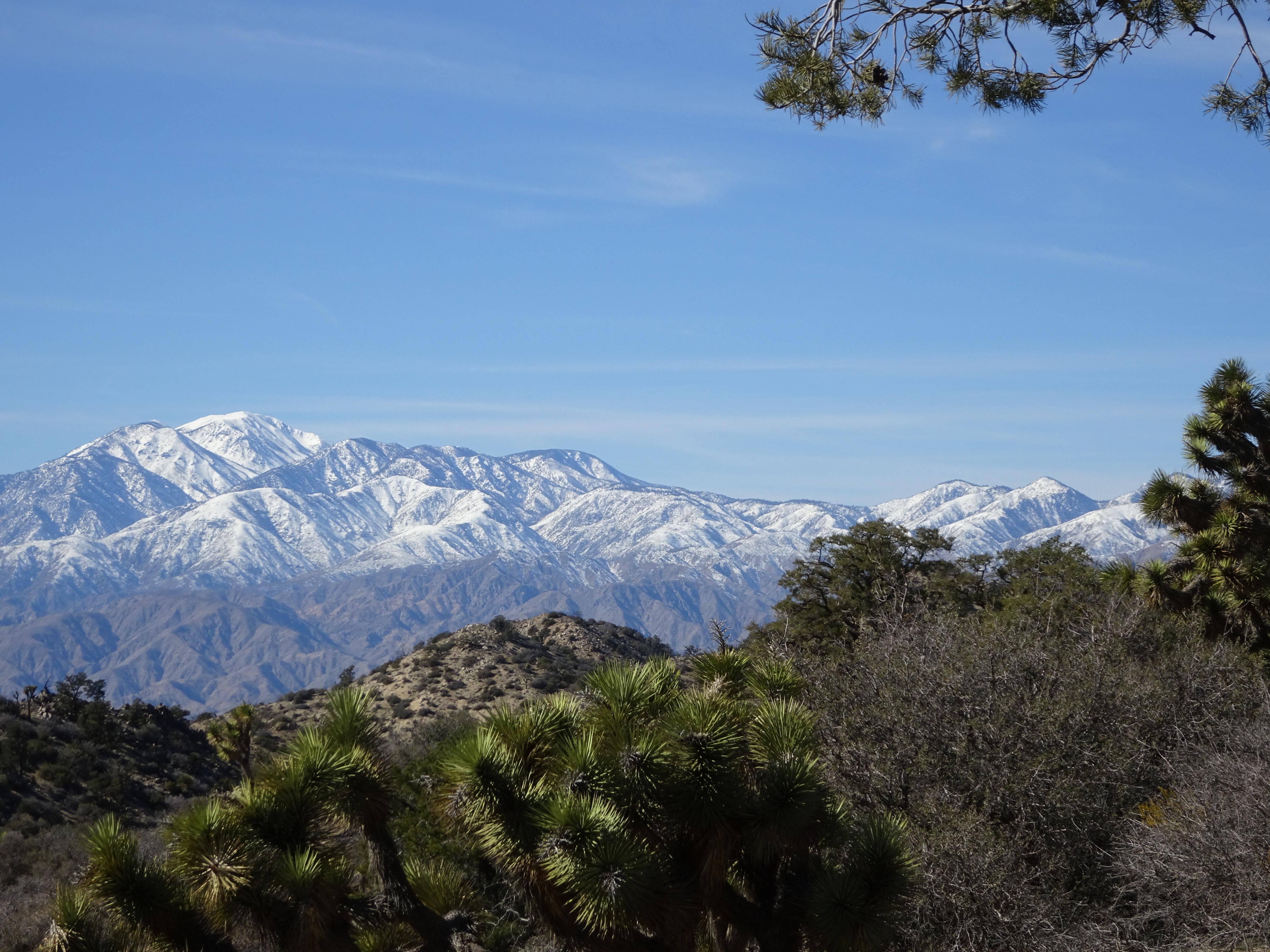 Joshua Tree National Park, San Bernardino Mountains, California [OC