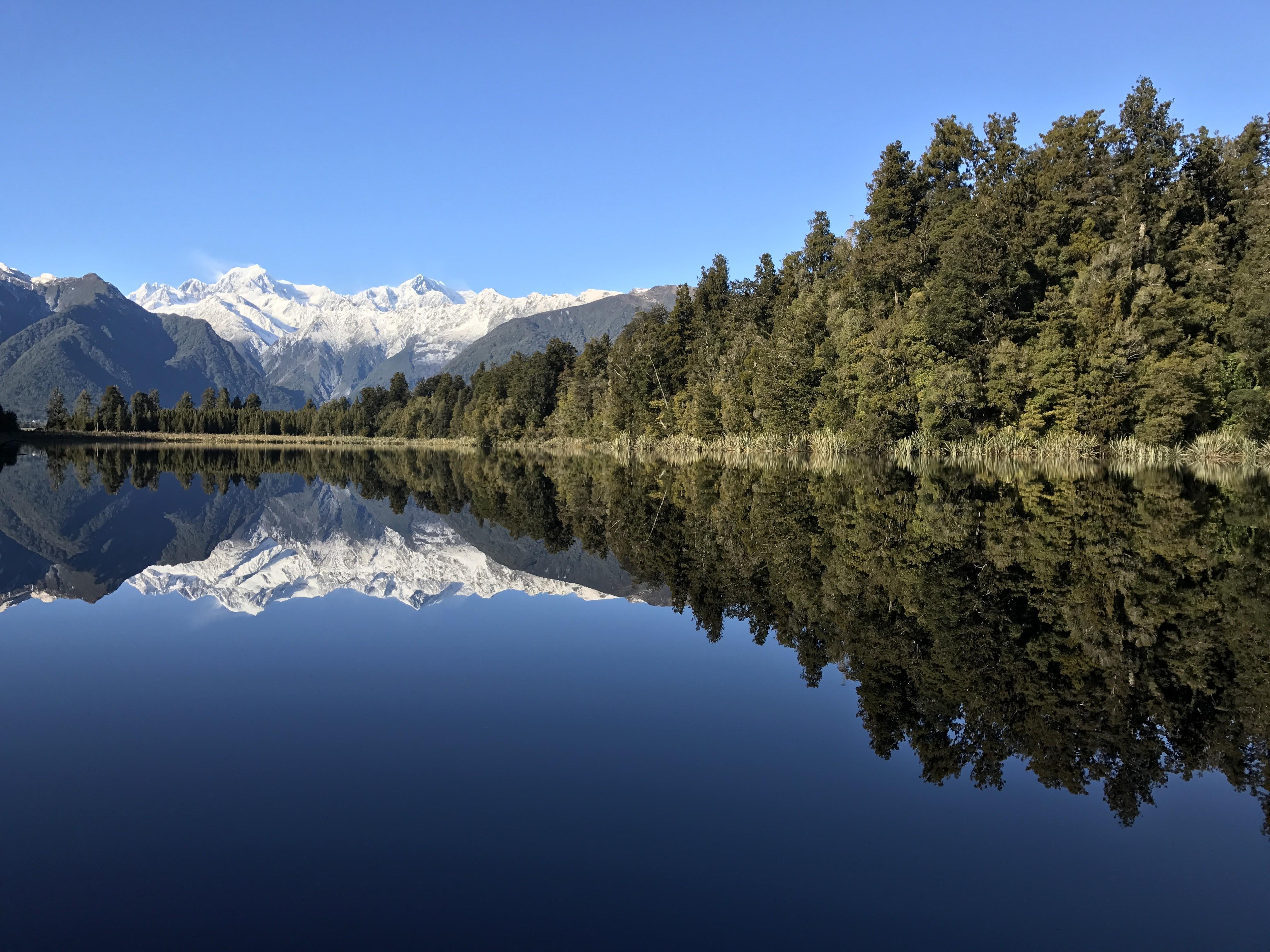 Lake Matheson, New Zeadland. OC [4032x3024] r/EarthPorn