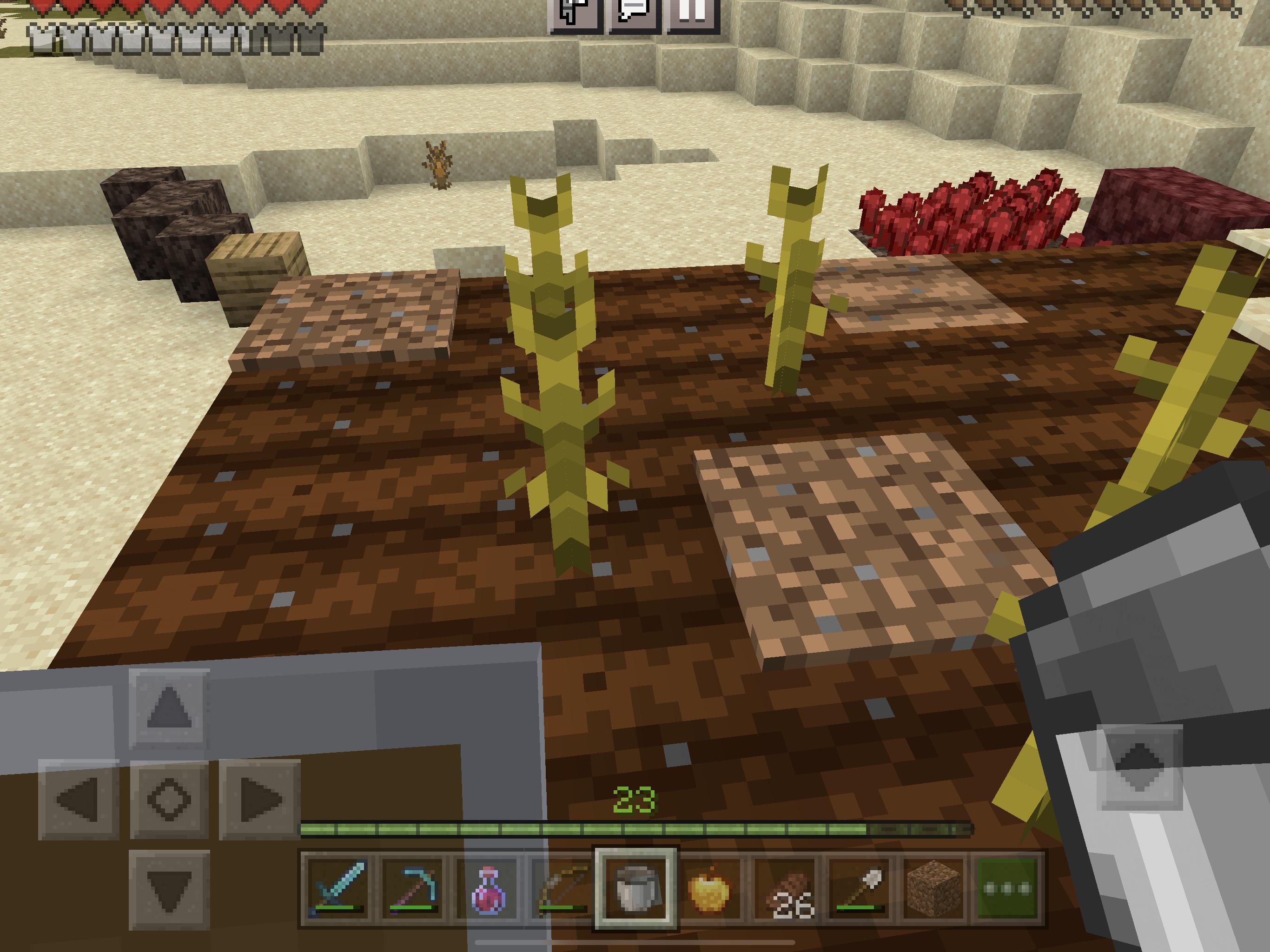 Can plants grab water that are underneath them r/Minecraft