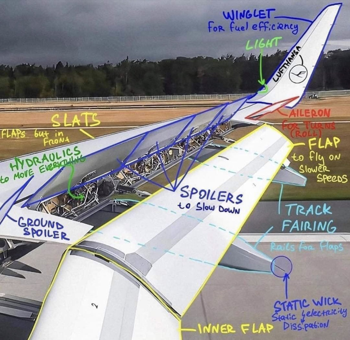 Airplane wing guide : coolguides