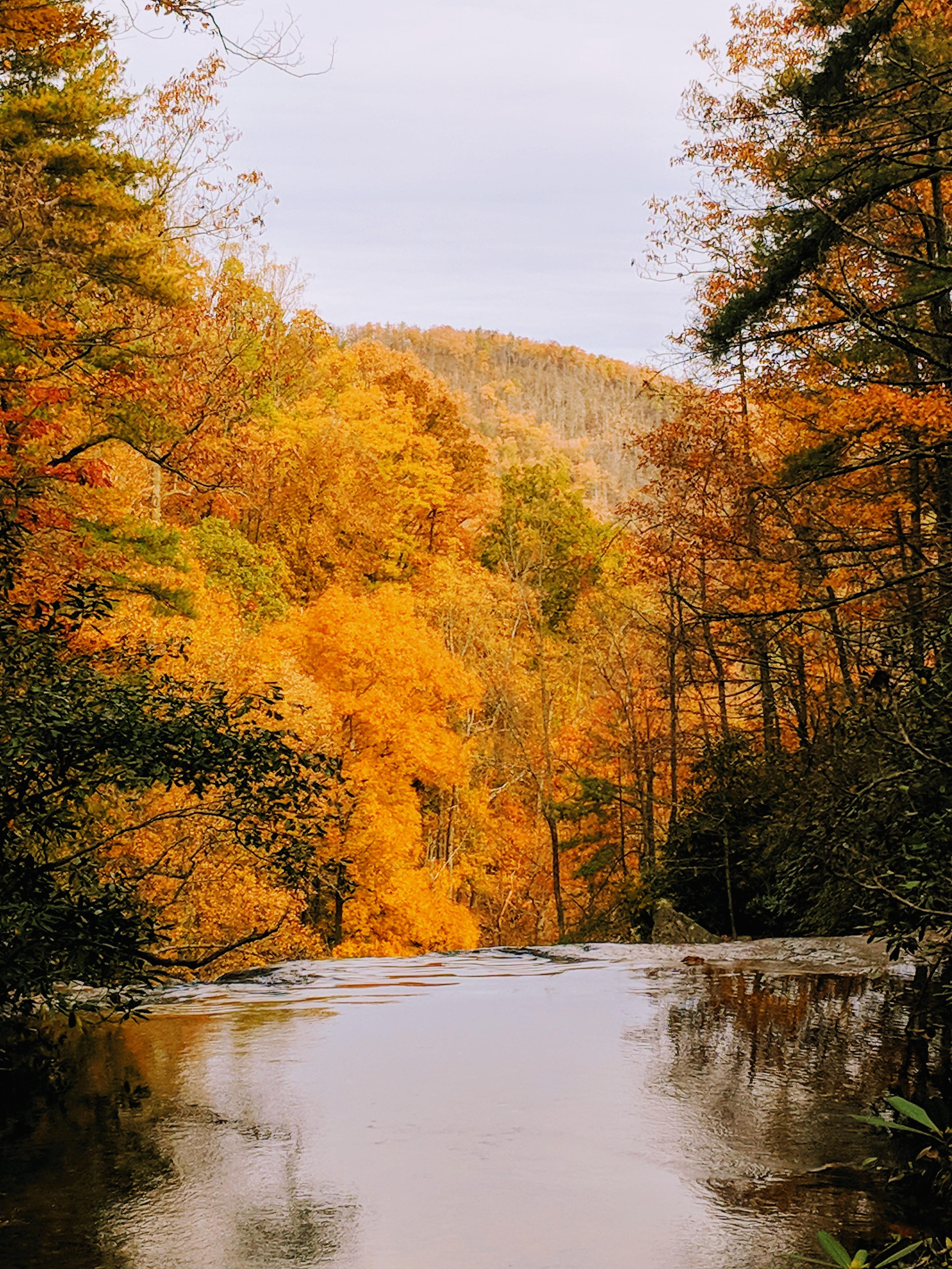 From the top of High Shoals falls, South Mountain state park NC r/hiking