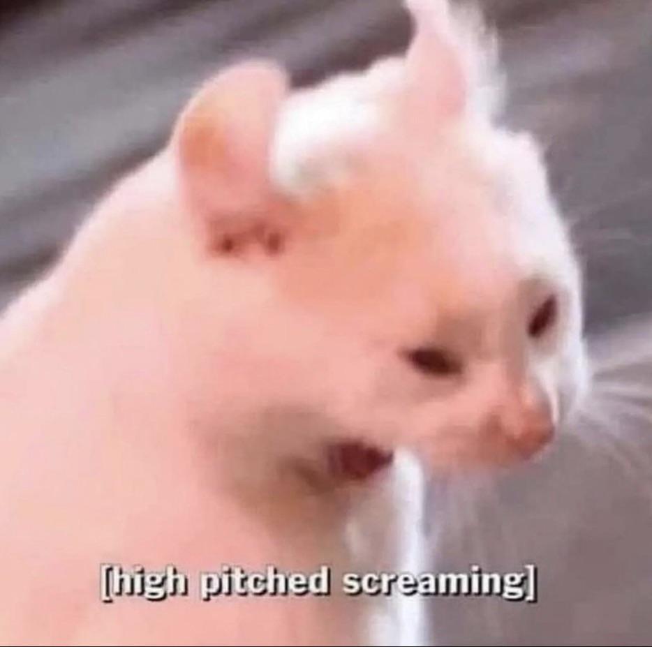 Does anyone have any tips for T5 (nightmare)?A friend and I have been