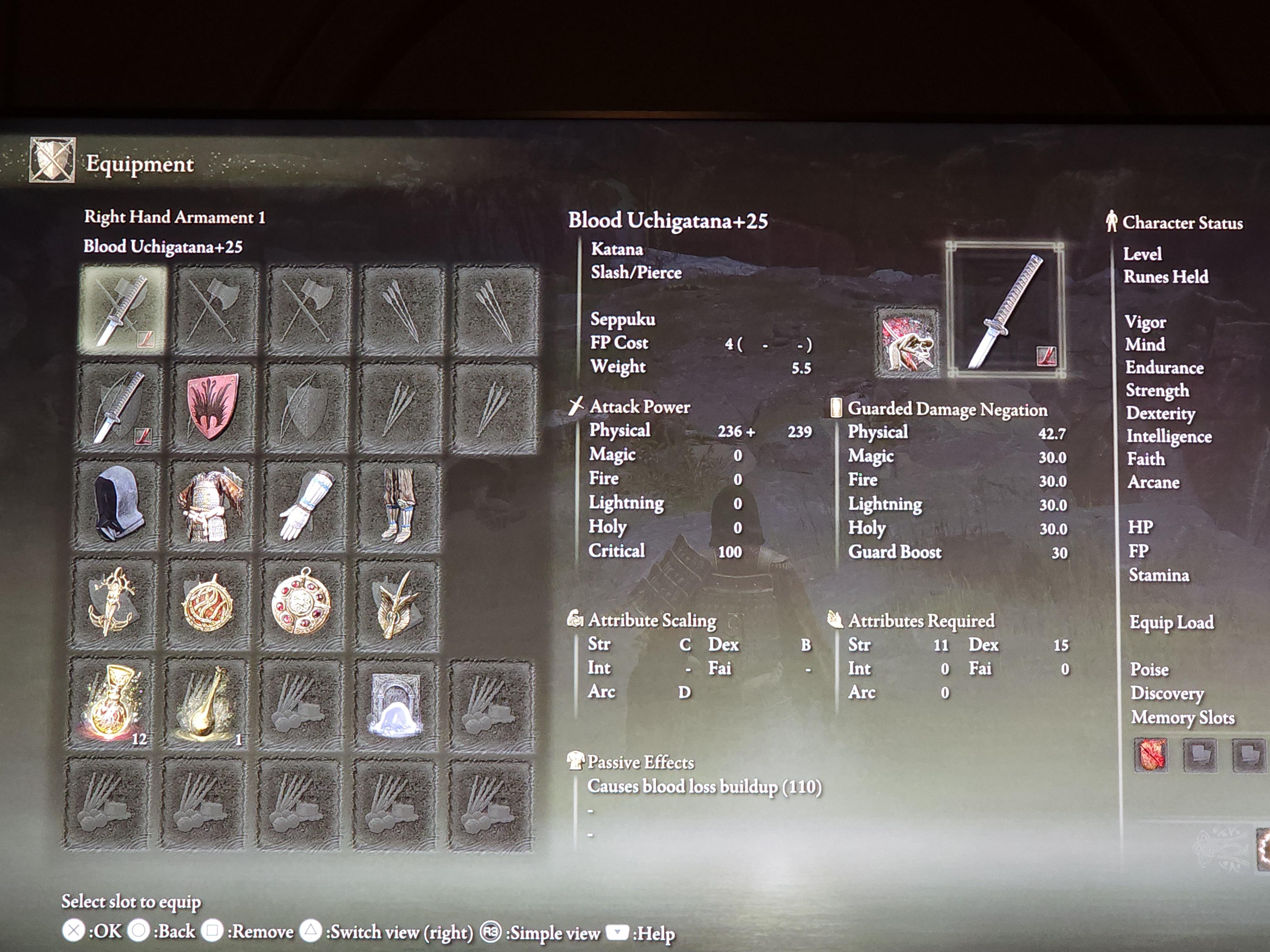 Finally! Dual Wielding +25 Blood Uchigatanas with 110 bleed buildup and