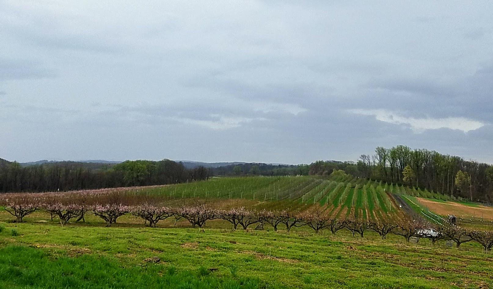 Alstede farm in Chester last Spring. r/newjersey
