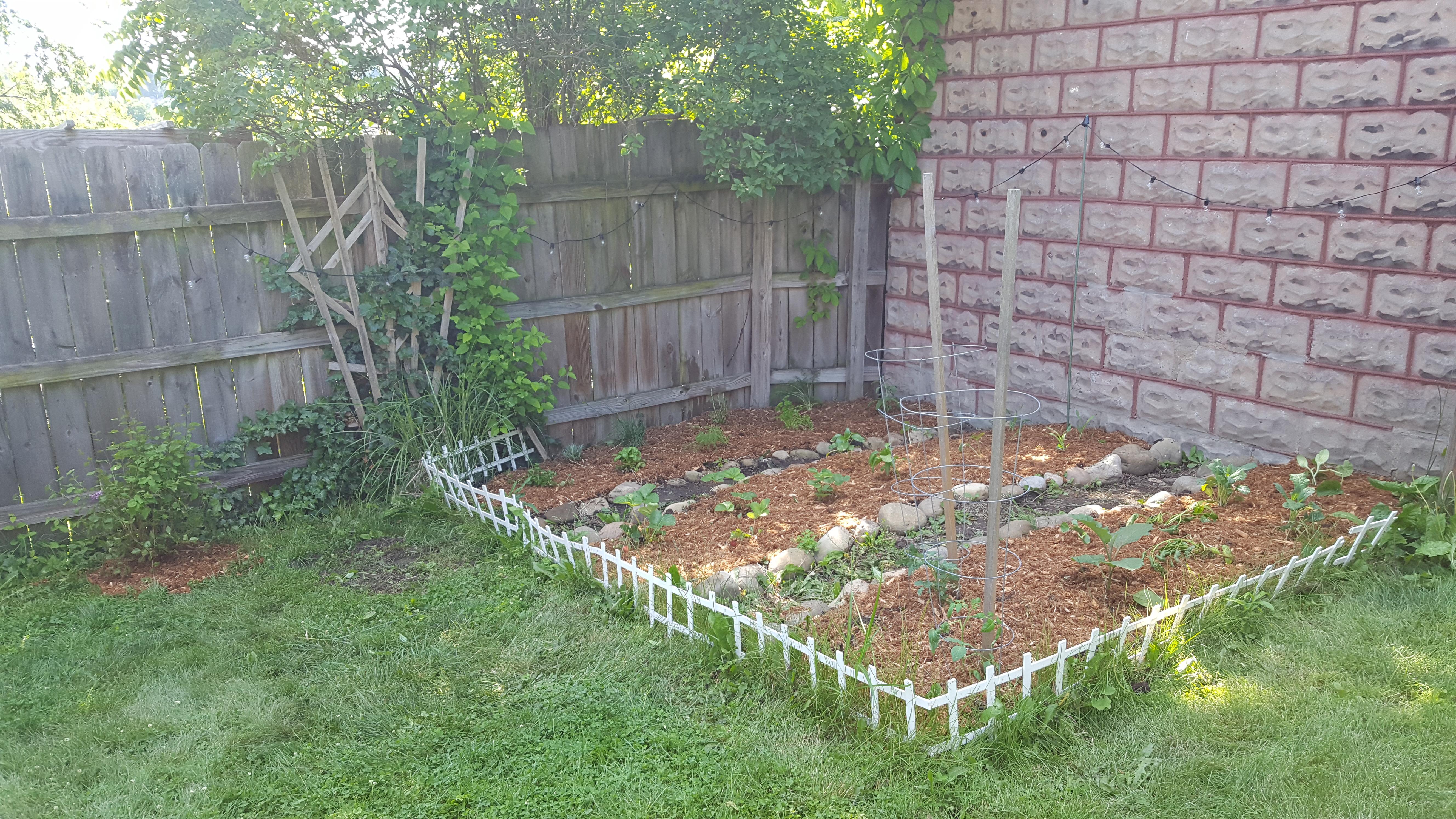 My backyard sanctuary in the city r/StardewValley