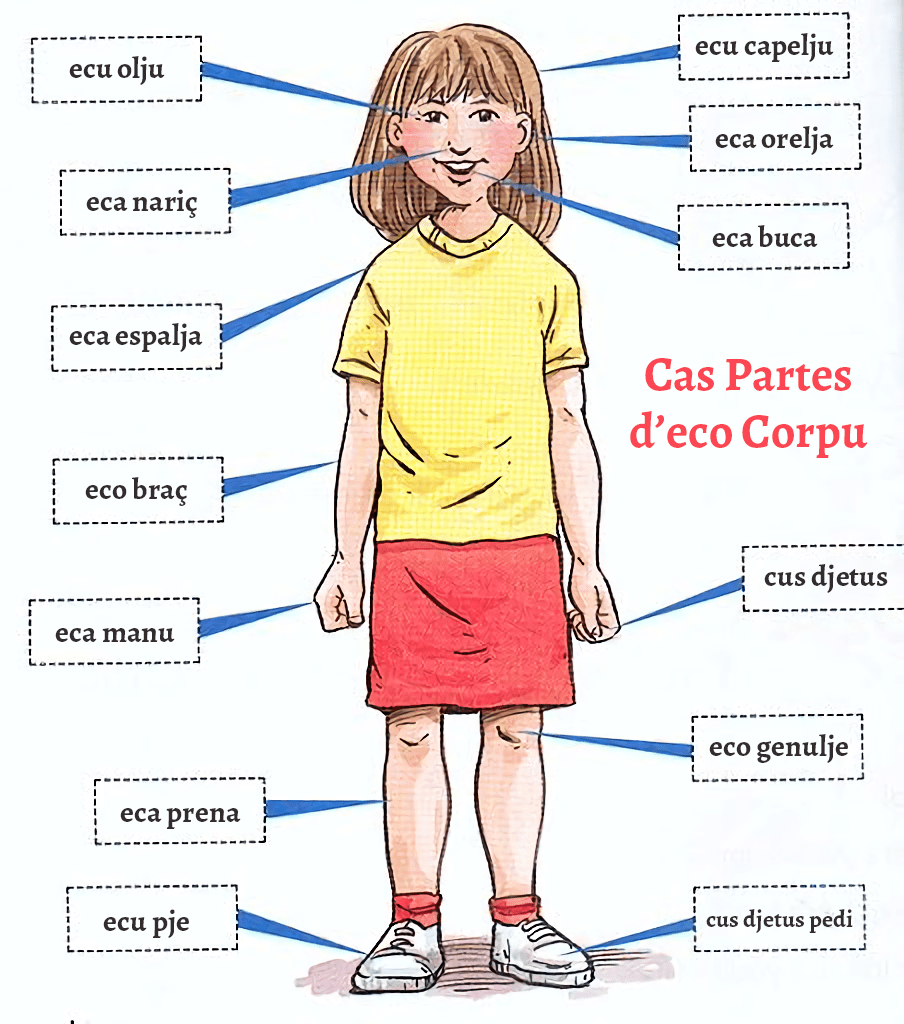 Body Parts Chart For Kids